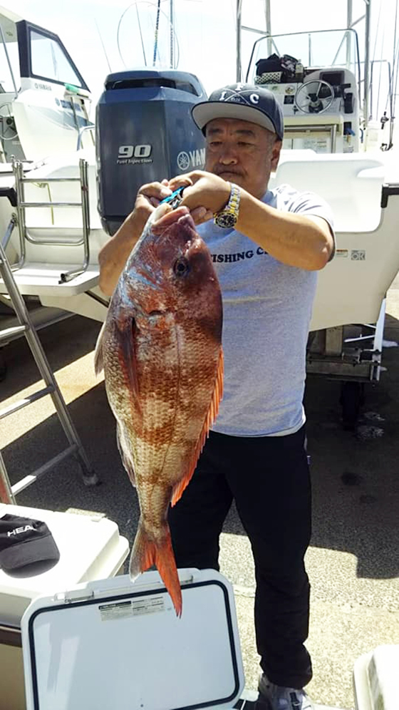 ✿マダイ・ホウボウ・マゴチ✿