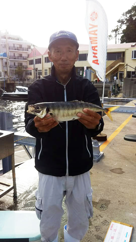 ✿アジ・マダイ・ヘダイ・カイワリ・ヒラメ✿