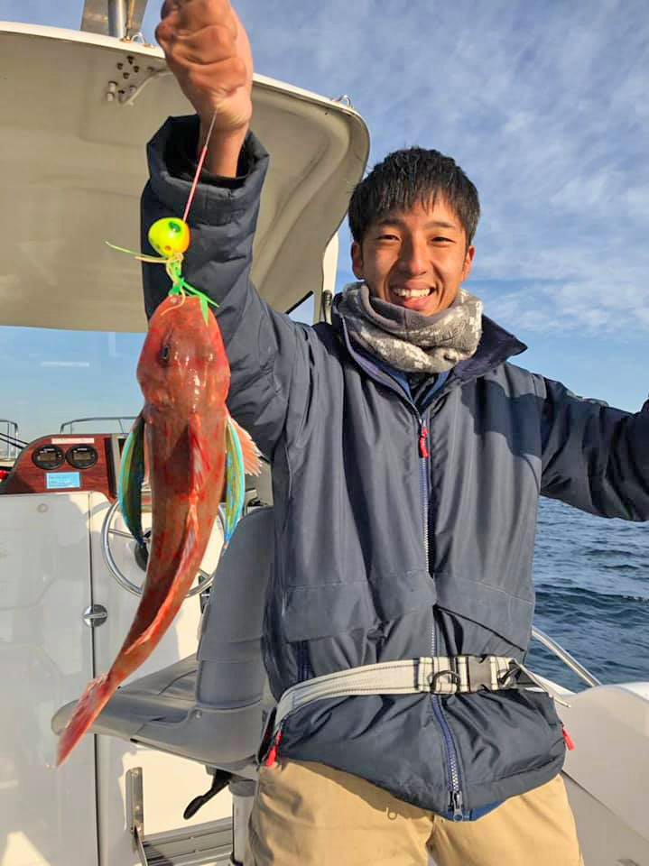 ✿マダイ・ホウボウ✿