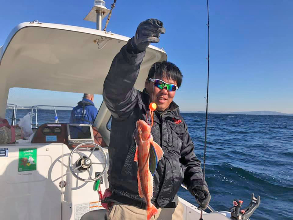 ✿ショゴ・ホウボウ・トラフグ✿