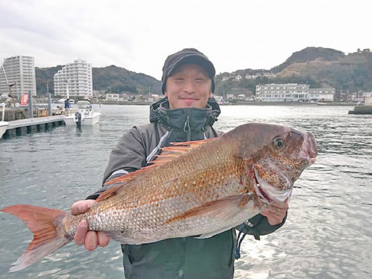 ✾マダイ・ホウボウ✾