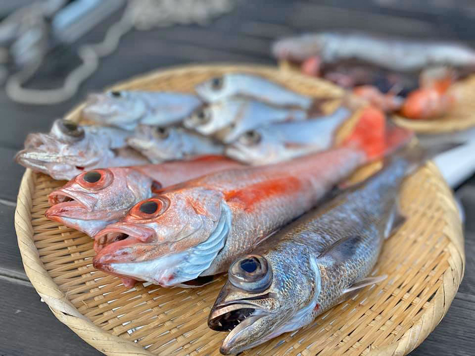 ✿アカムツ・シロムツ・クロムツ・ギス・ドンコ・ユメカサゴ✿