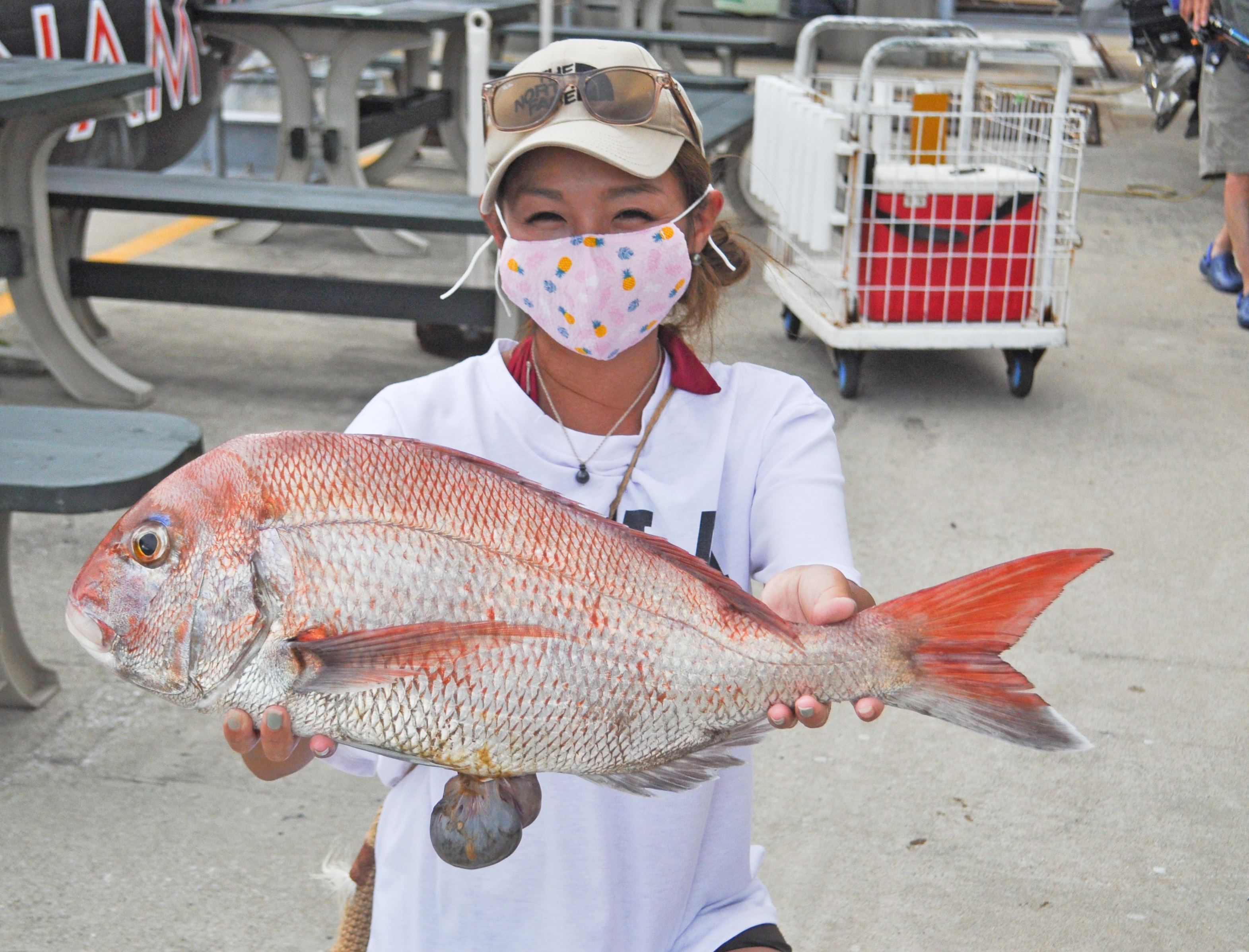 ✿サワラ・マダイ✿