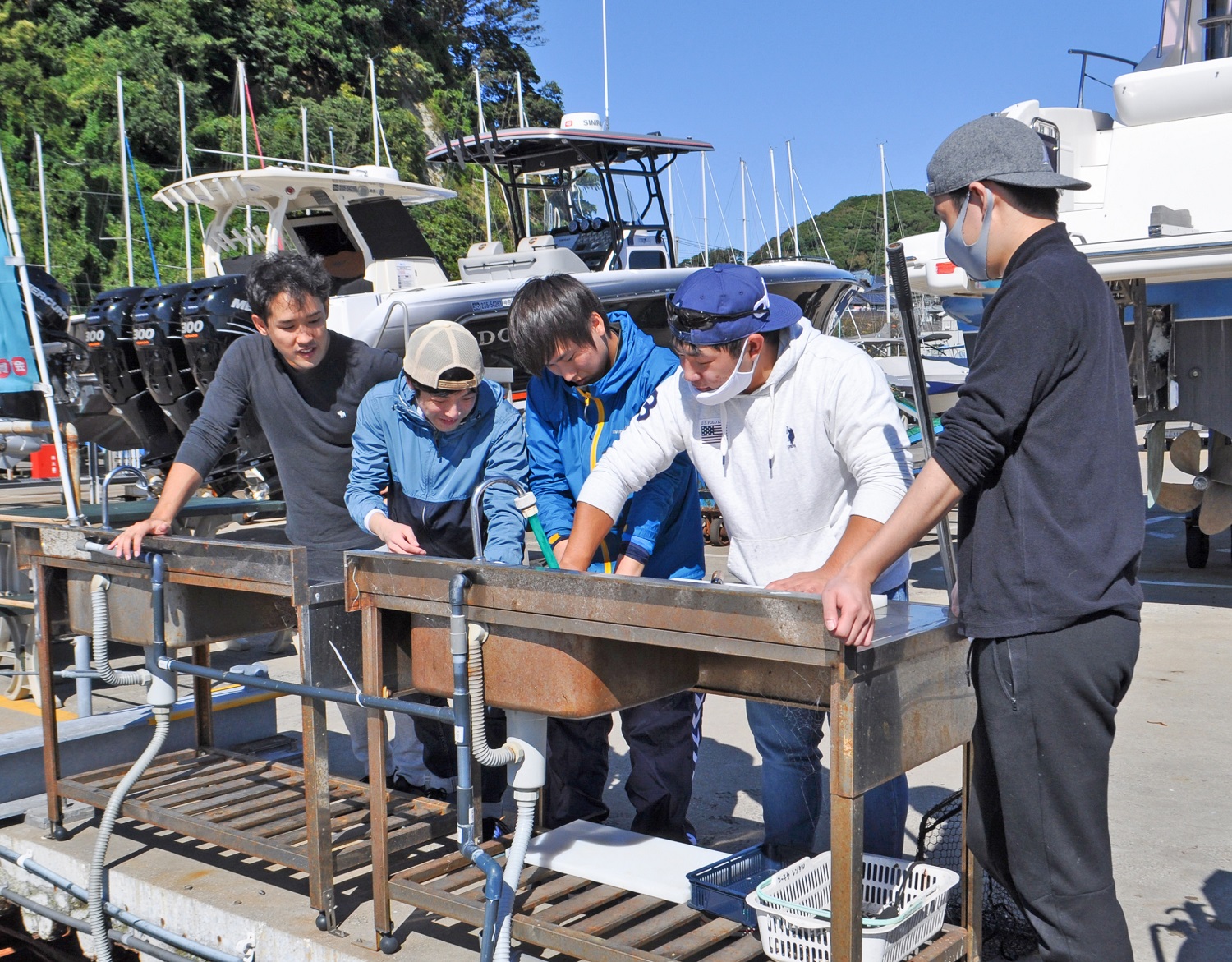 ✿タチウオ・ホウボウ・マダイ✿