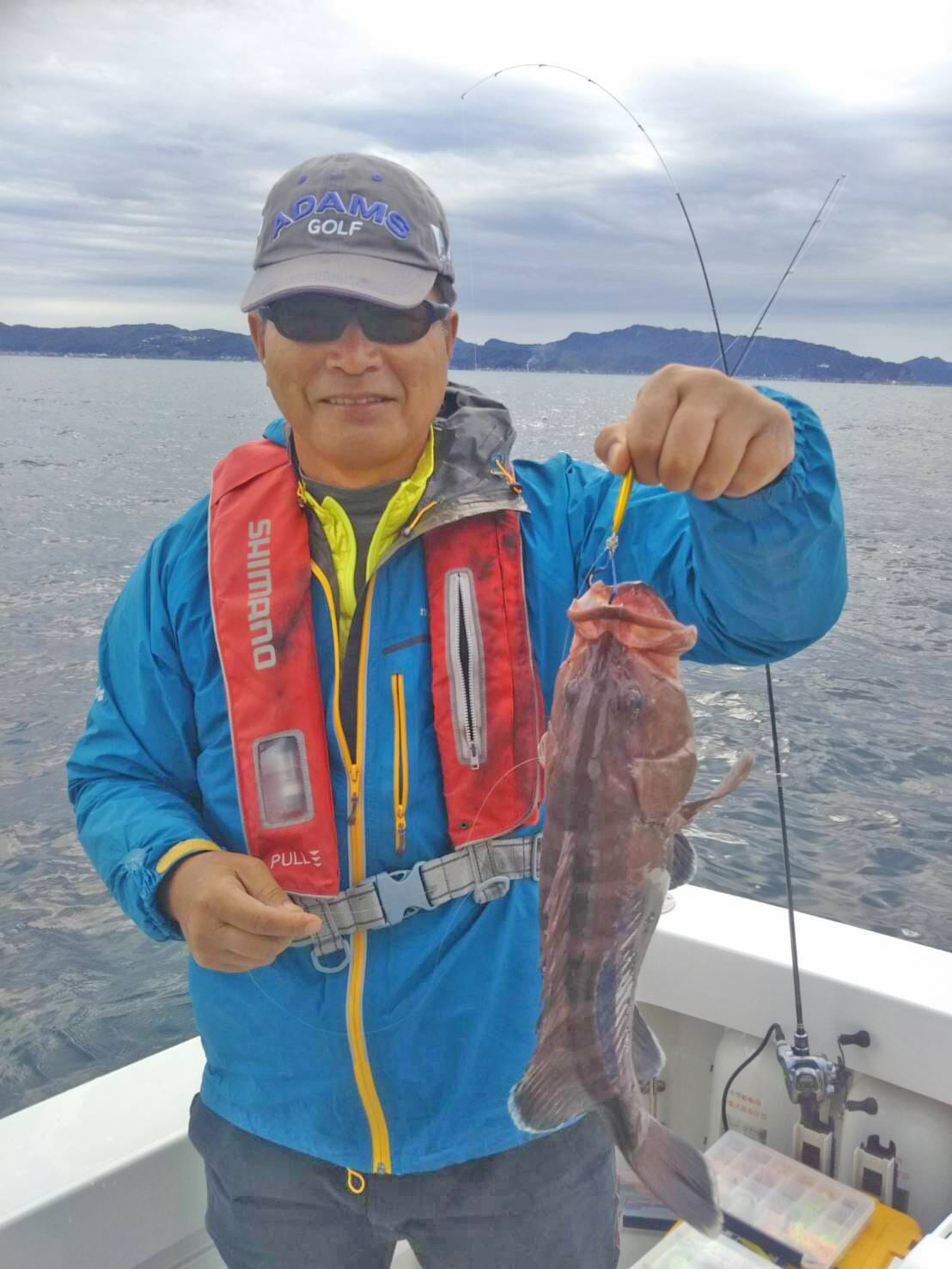 ✿マダイ・マハタ・アマダイ・カンパチ✿