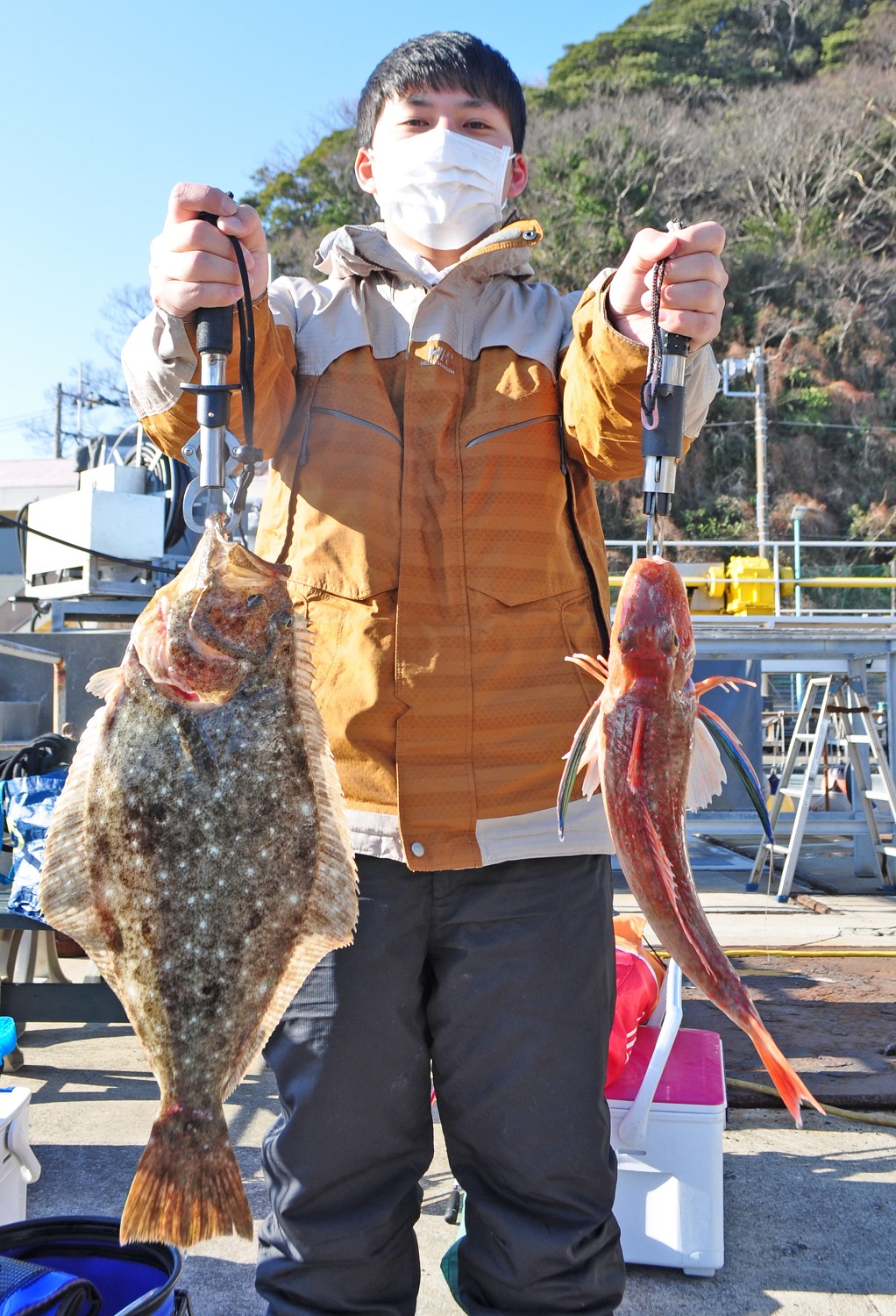 ✿ホウボウ・ヒラメ✿