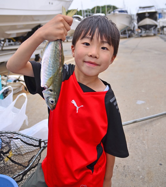 ✿アジ・ウッカリカサゴ✿