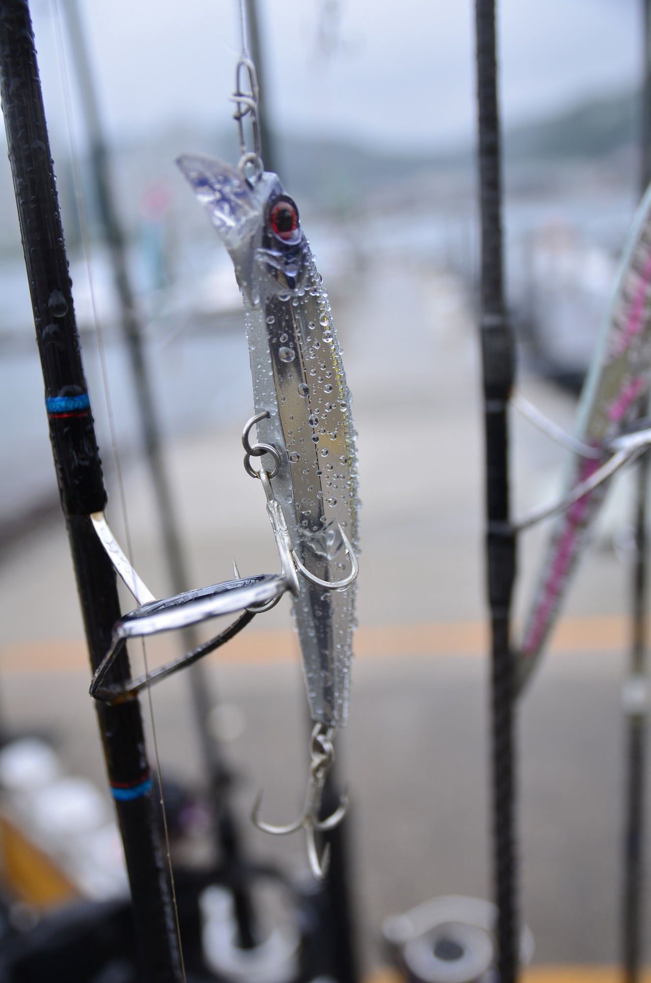 ✿サワラ・マダイ✿