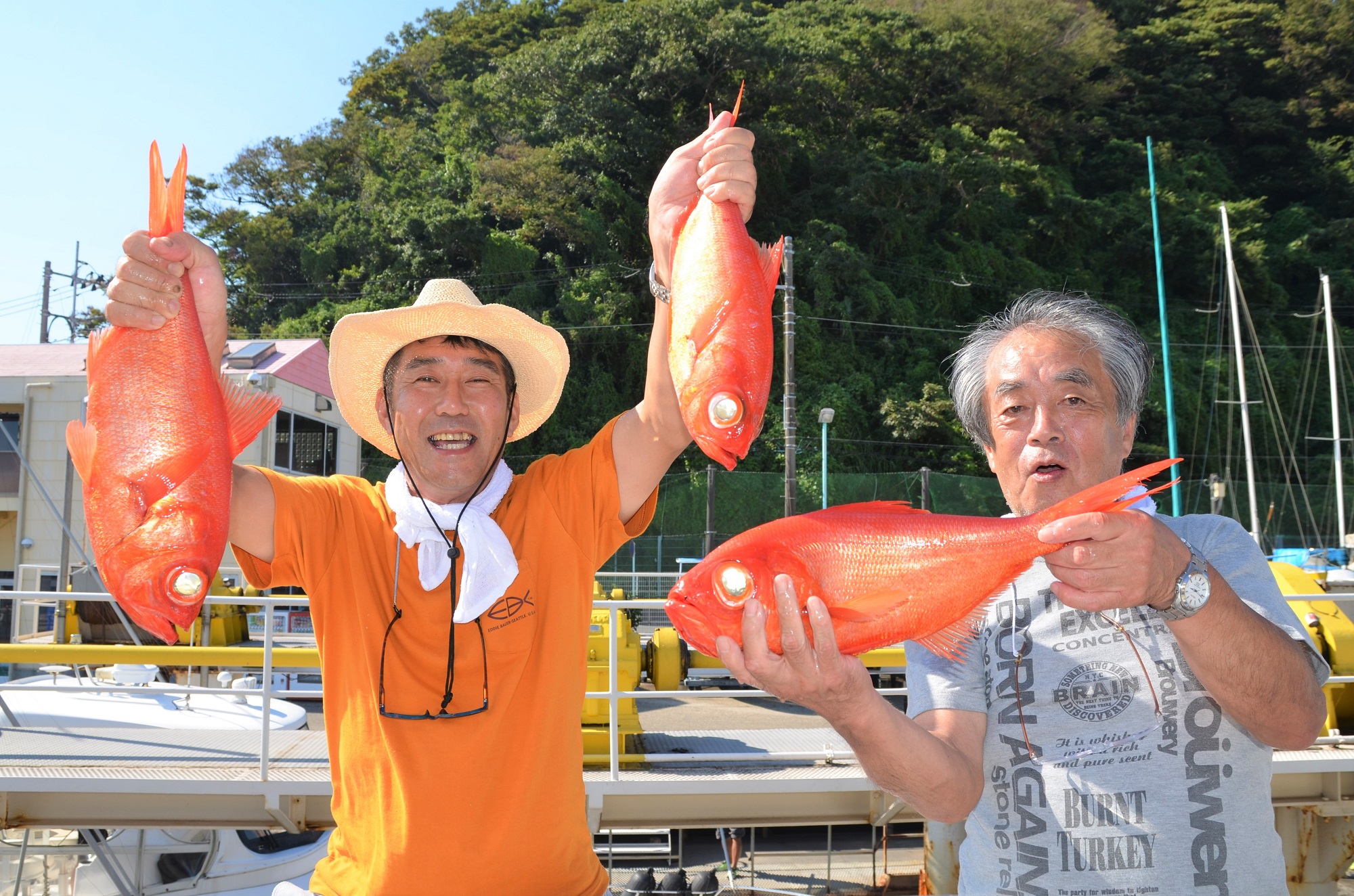 ✿キンメダイ✿