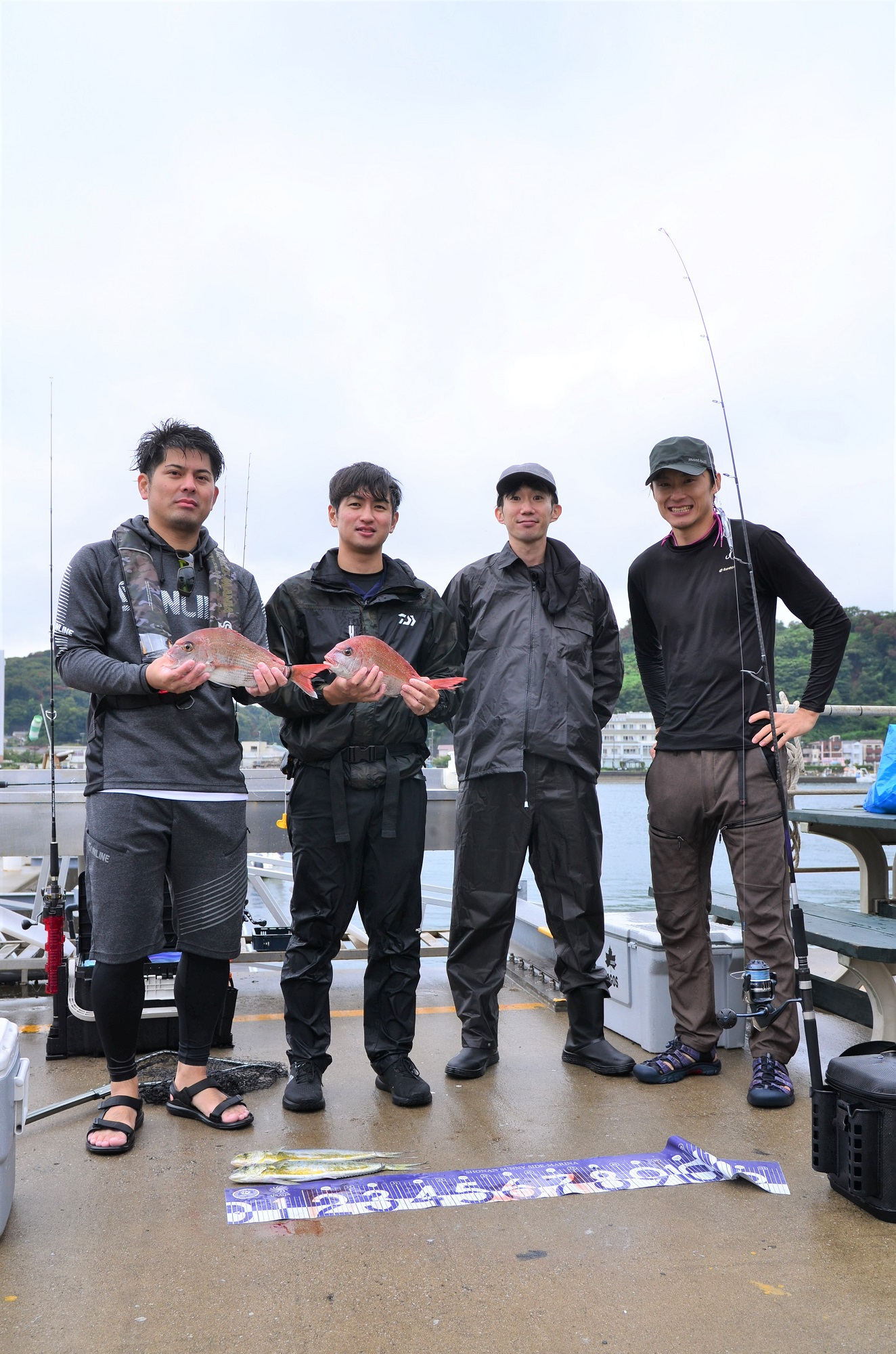 ✿マダイ・シイラ✿