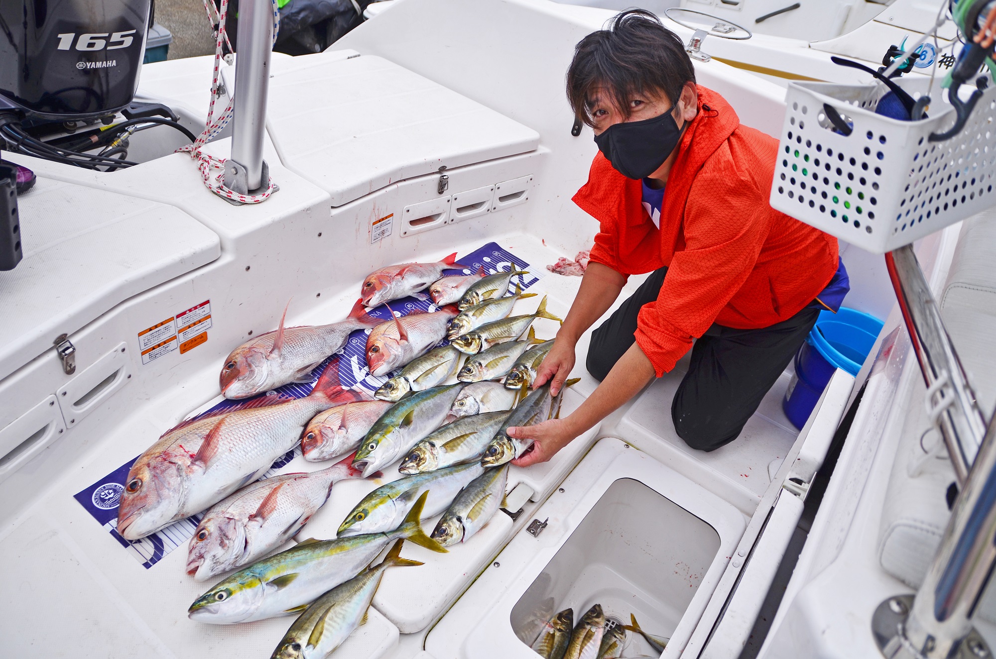 ✿マダイ・アジ・ワカシ✿