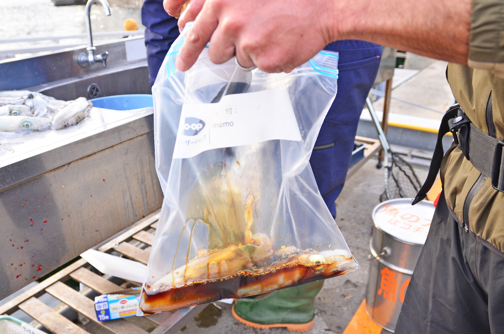 ✿カワハギ・マダイ・アオリイカ・スミイカ✿