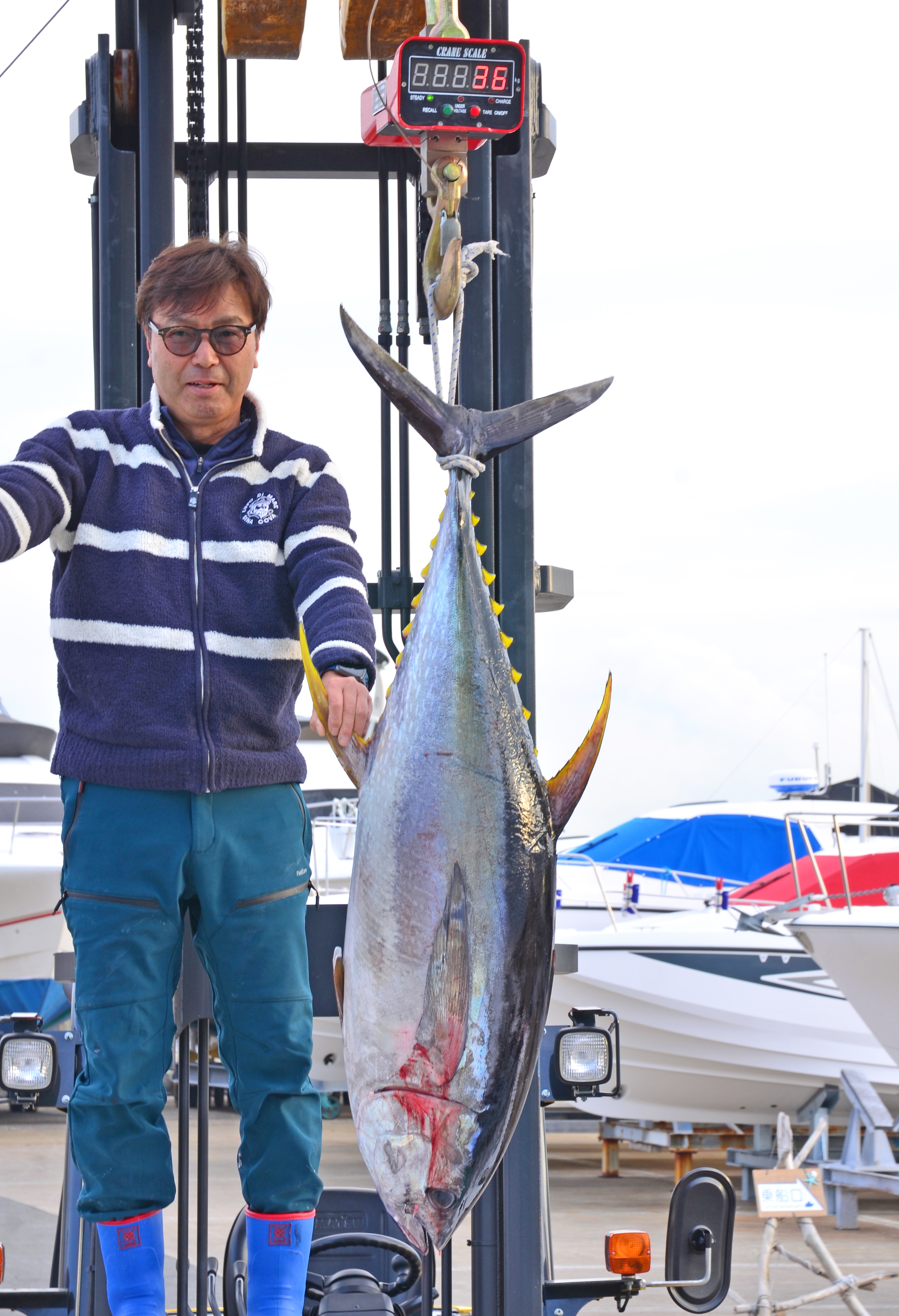 ✿キハダマグロ・36kg✿