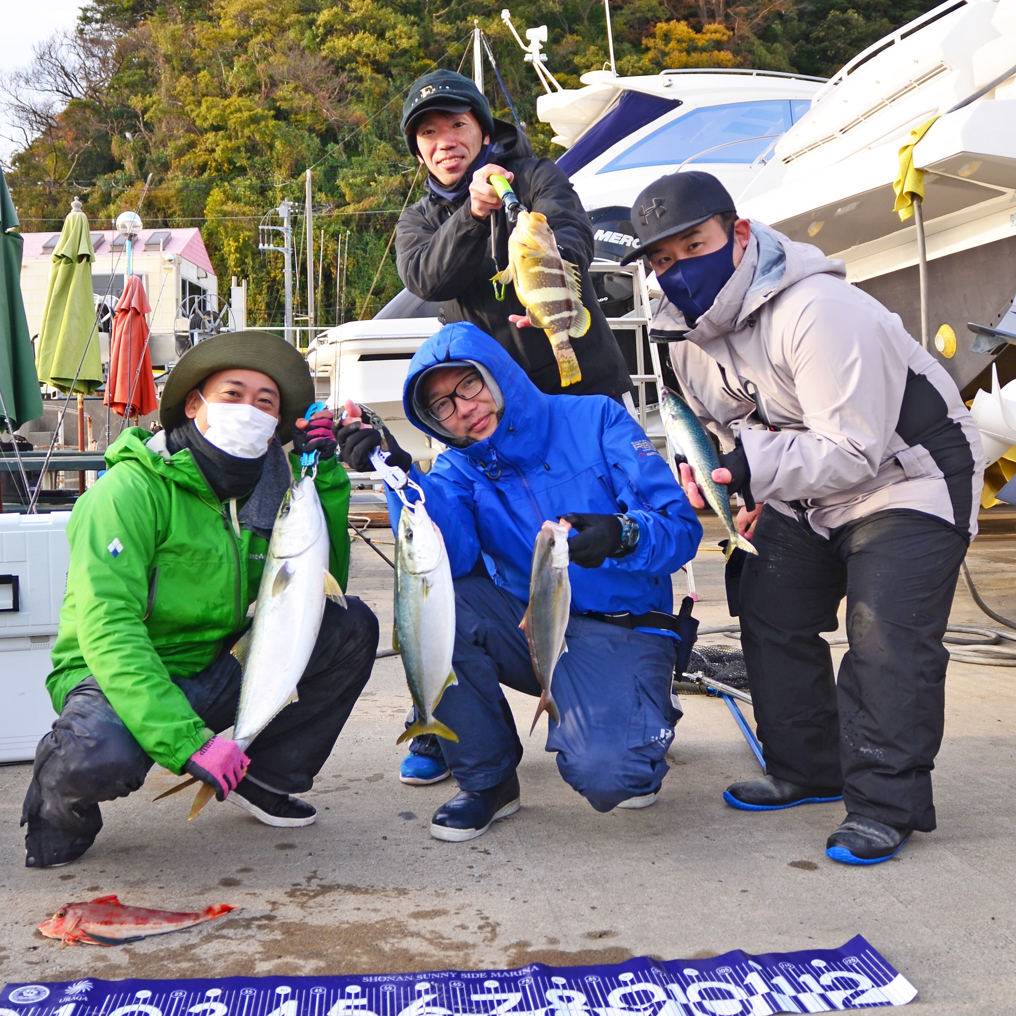 ✿ワラサ・イナダ・ショゴ・マハタ・ホウボウ・サバ✿