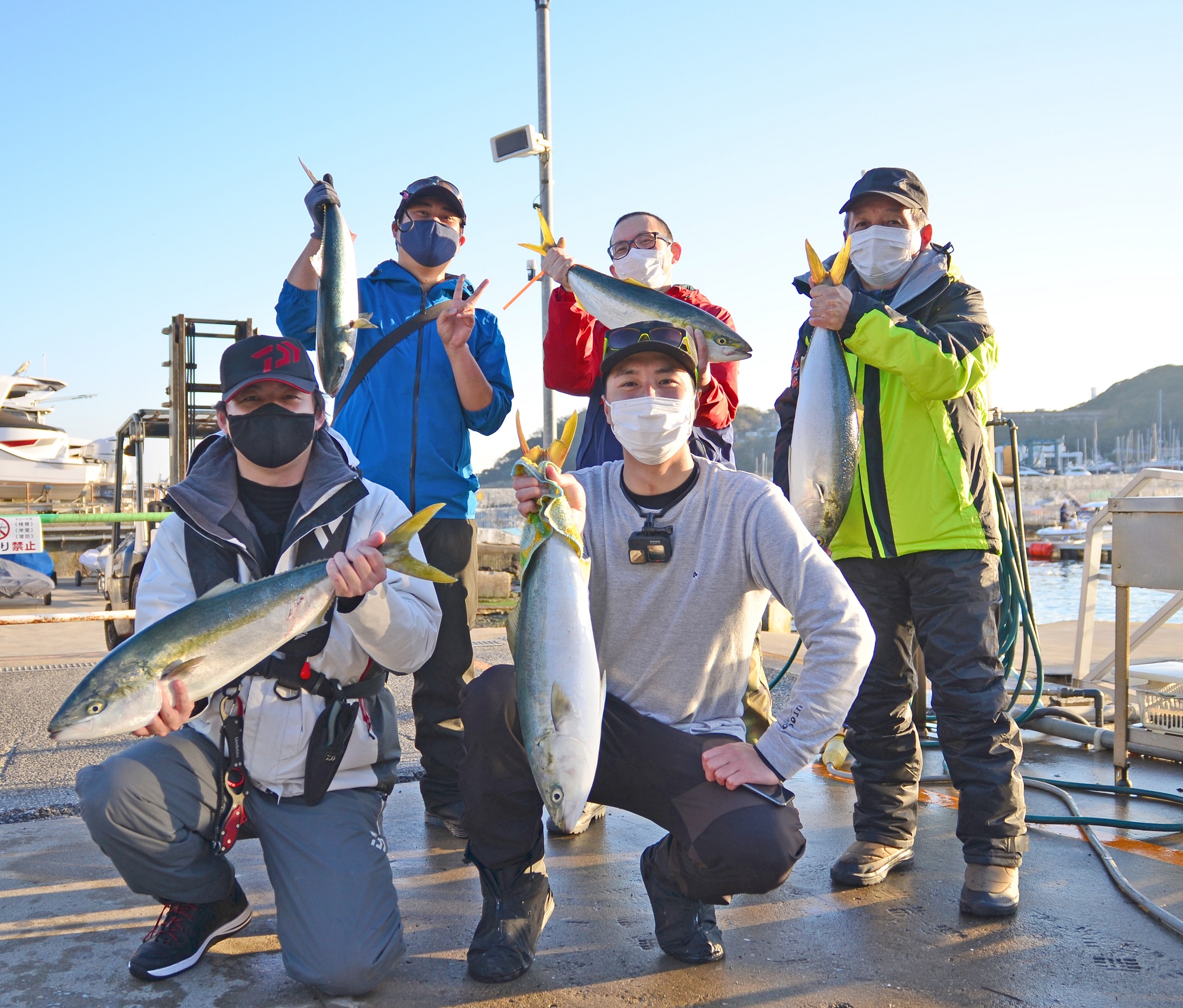 ✿ワラサ・アオハタ・エソ✿