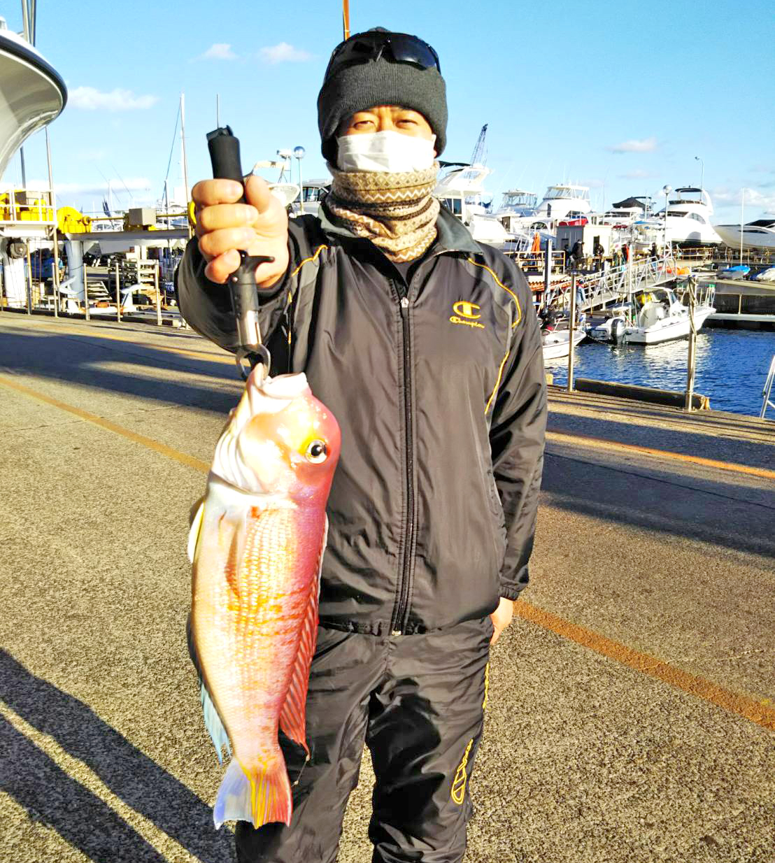 ✿アマダイ・マダイ・マハタ・アオハタ✿