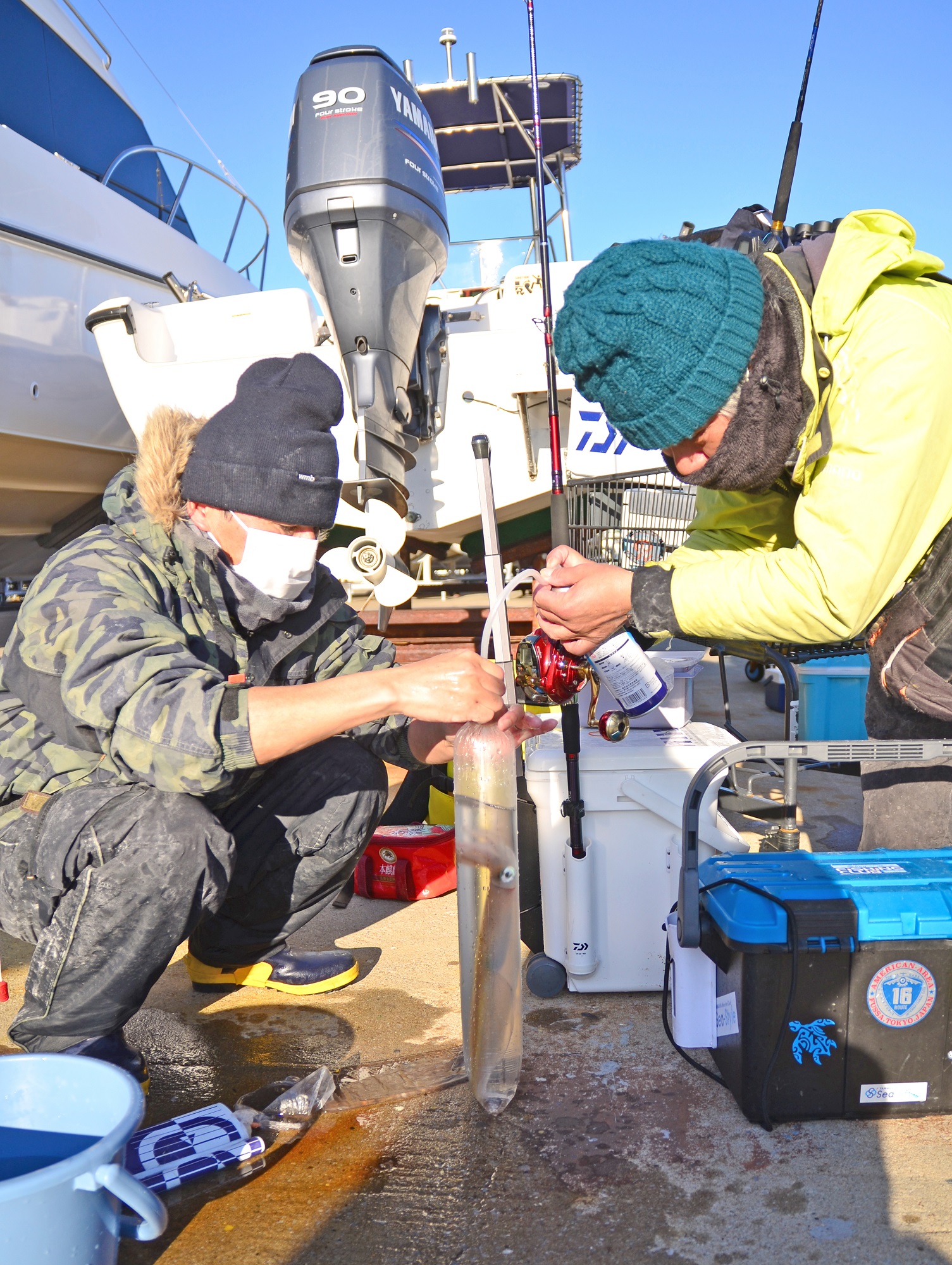 ✿ヤリイカ・スルメイカ・ケンサキイカ✿