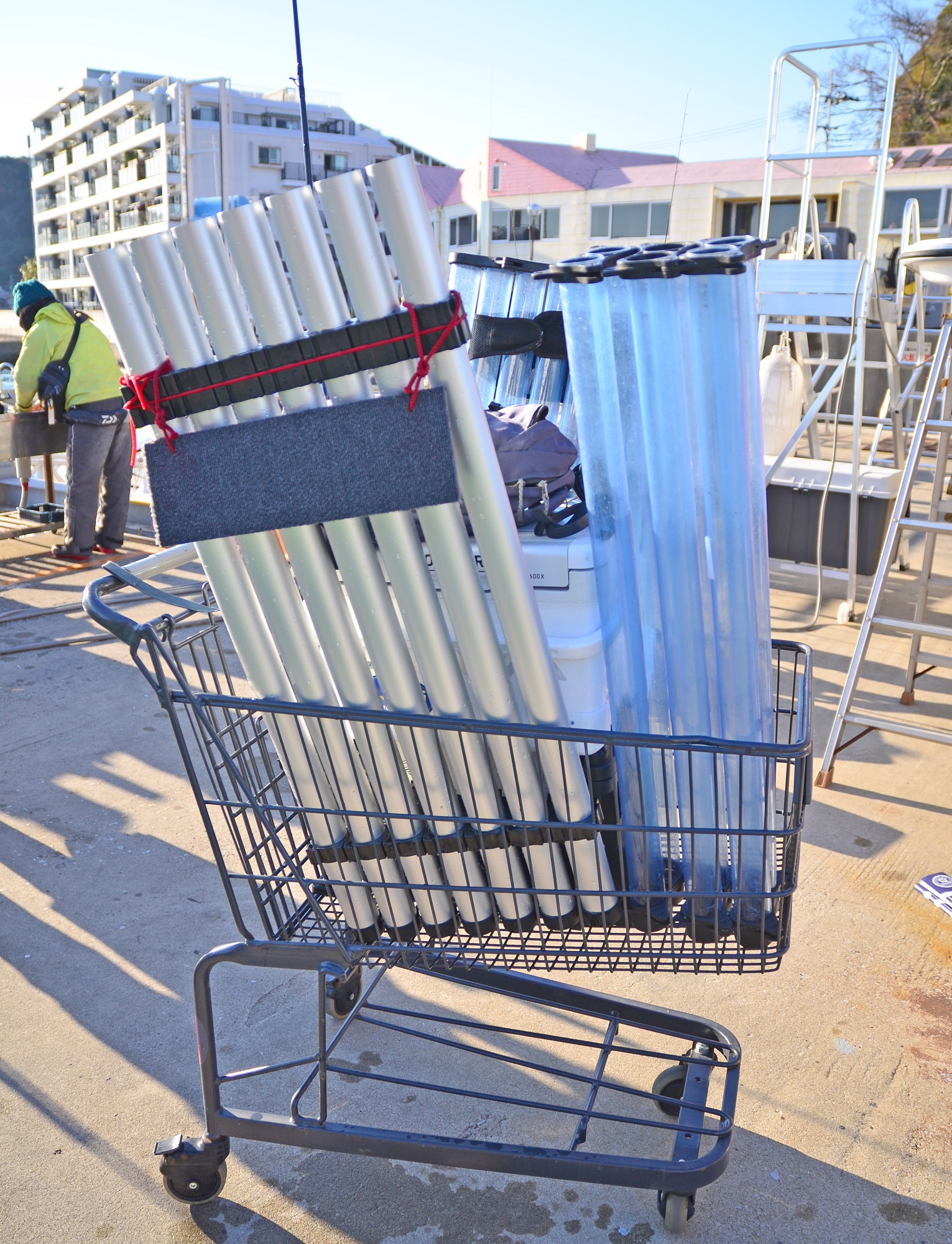 ✿ヤリイカ・スルメイカ・ケンサキイカ✿