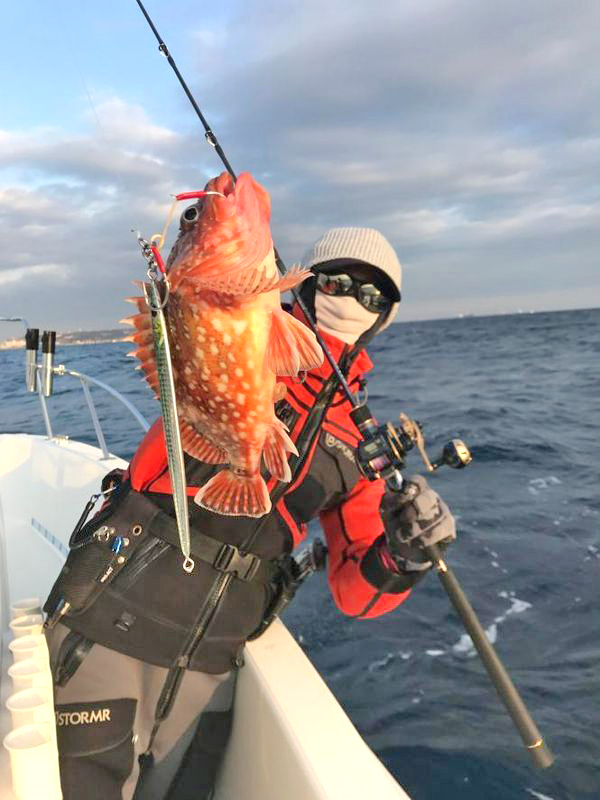 ✿ワラサ・ホウボウ・ウッカリカサゴ✿