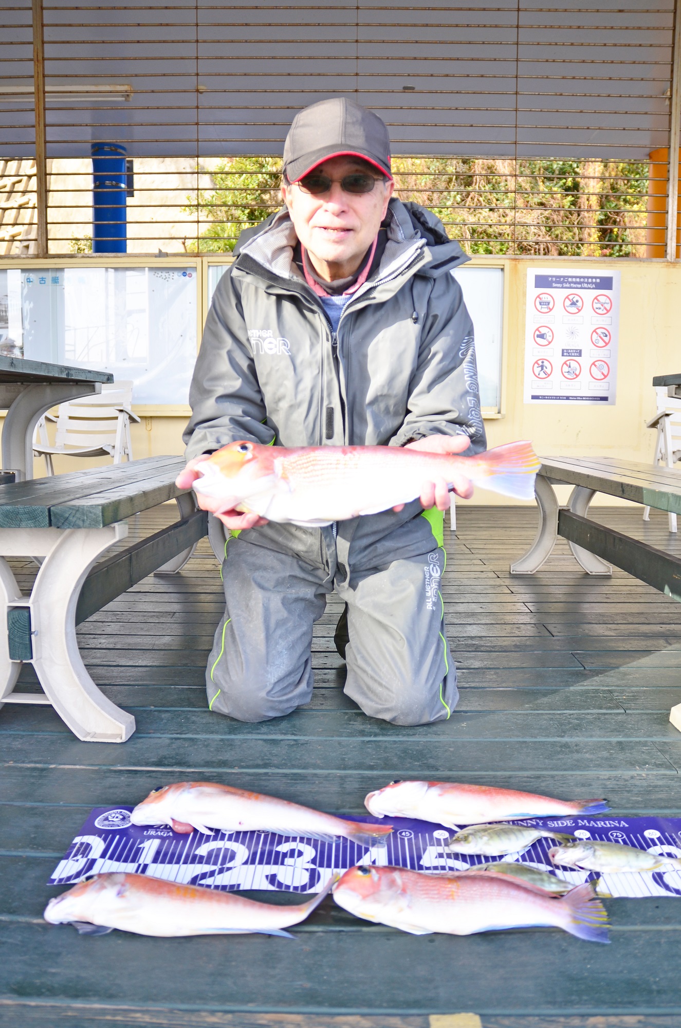 ✿アマダイ・カイワリ✿