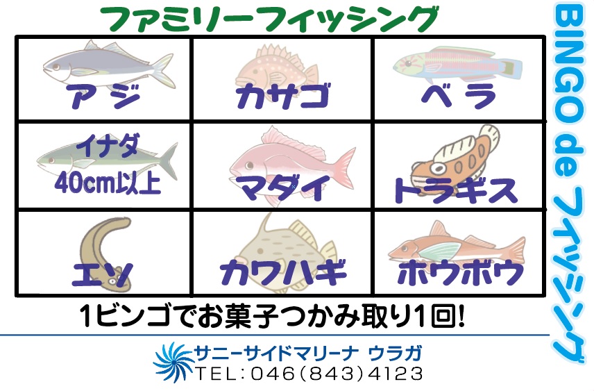 ✿カワハギ・モンゴウイカ・✿