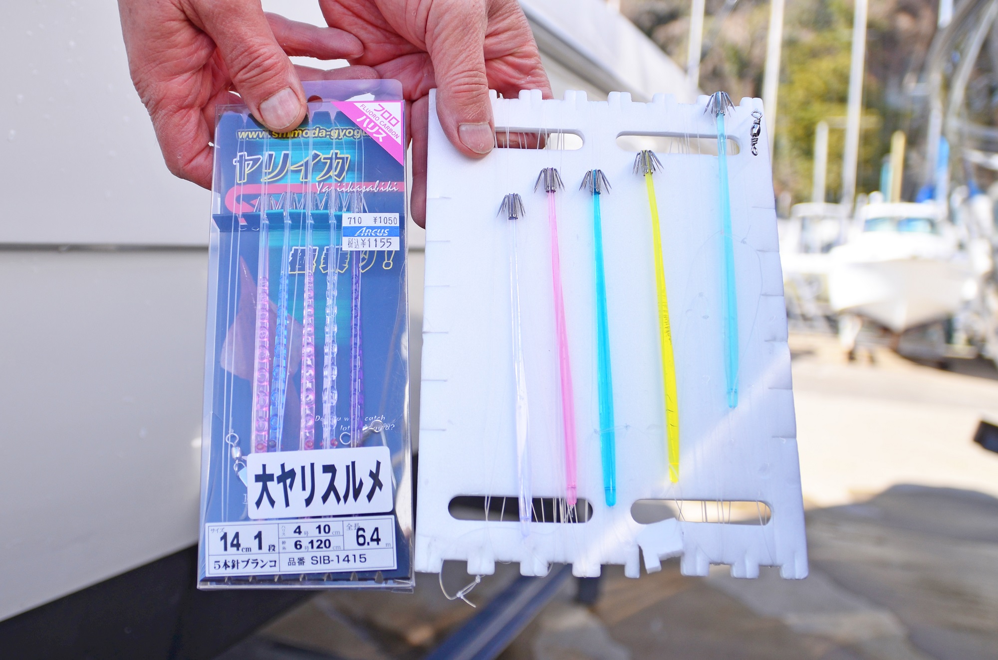 ✿ヤリイカ・スルメイカ✿