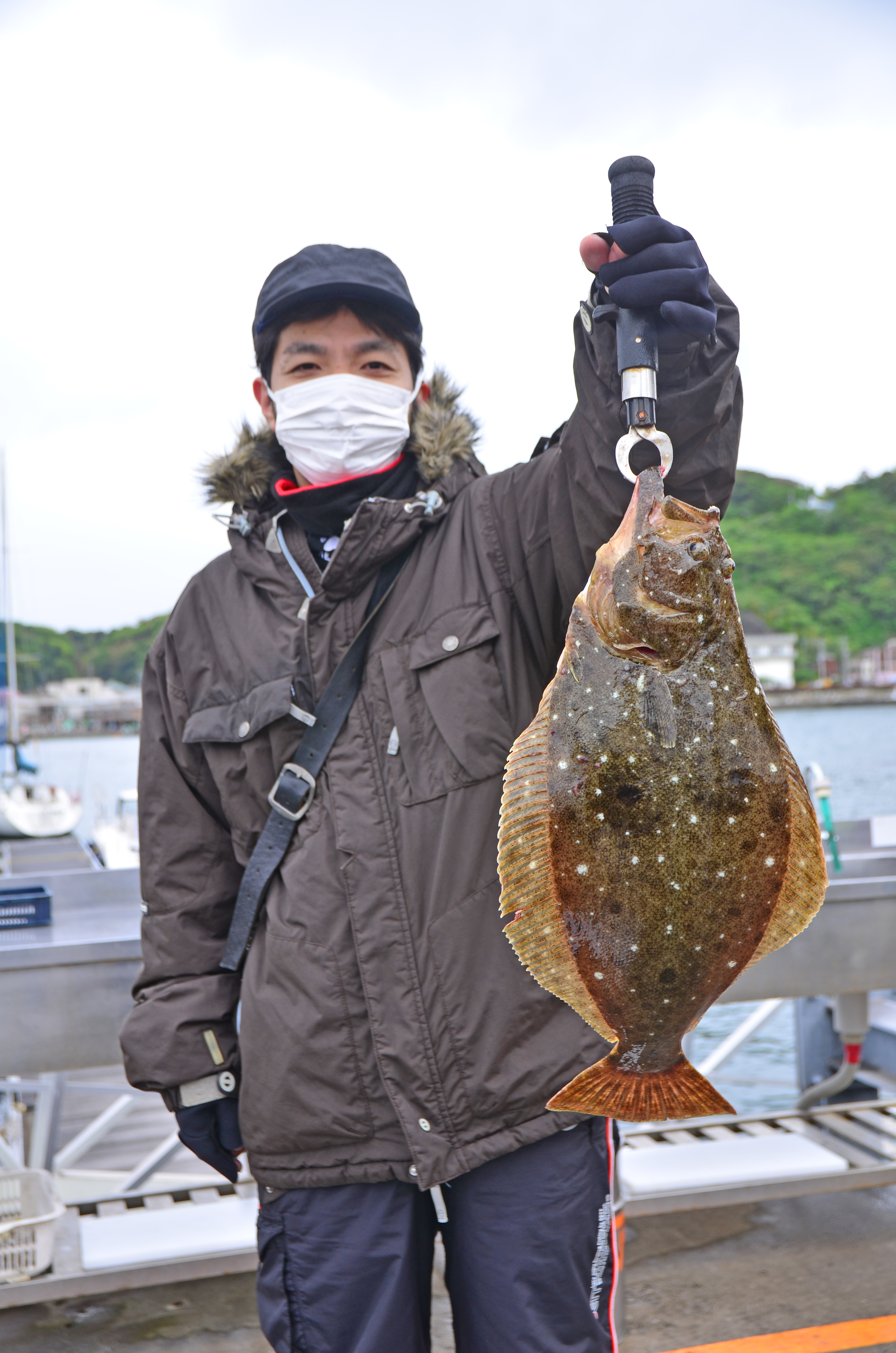 ✿ヒラメ・マダイ・ホウボウ✿