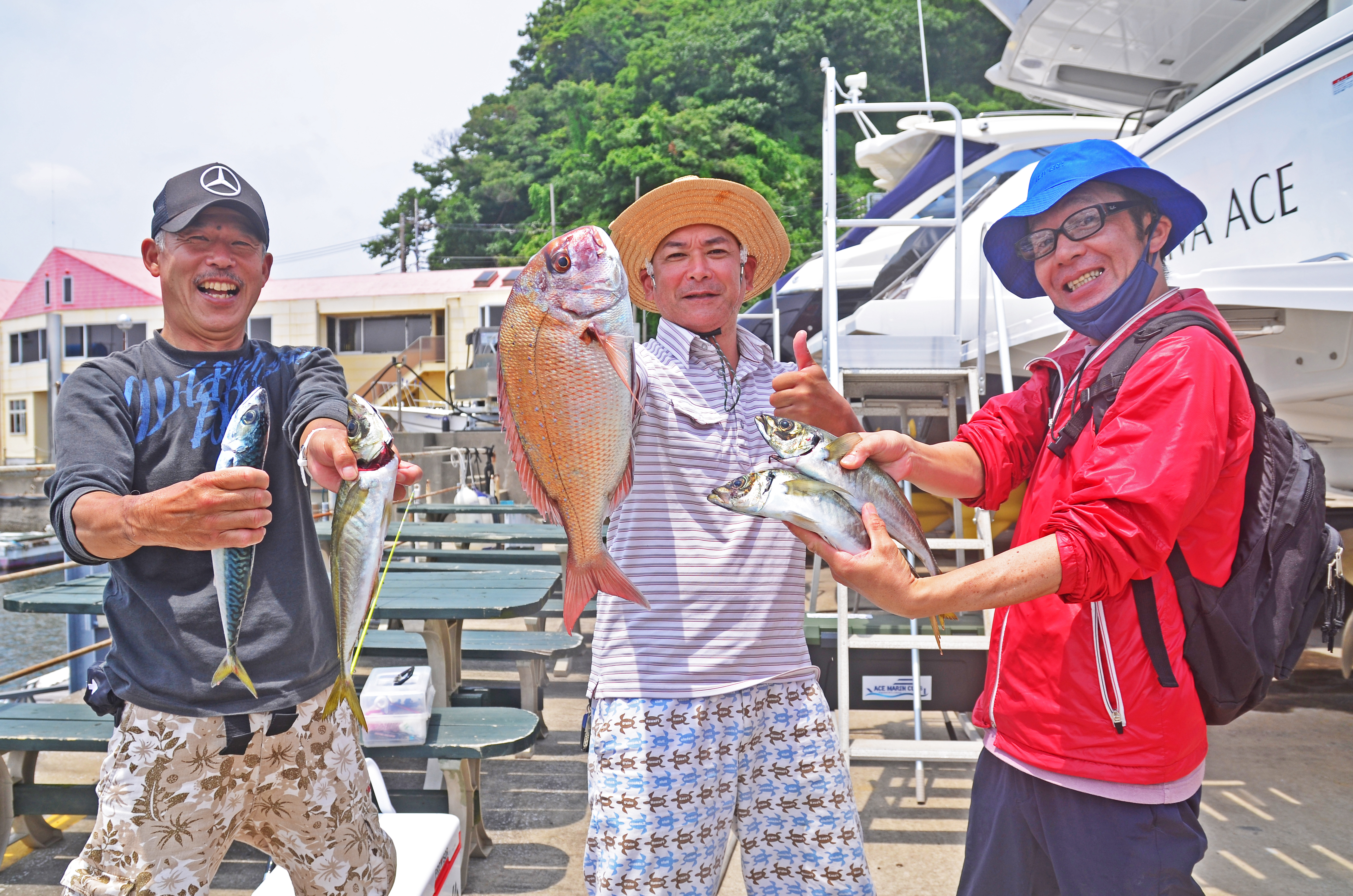 ✿マダイ・アジ・サバ✿