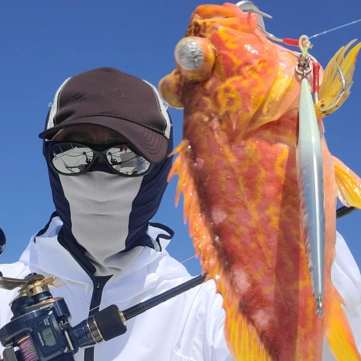 ✿シイラ・アヤメカサゴ・サワラ✿