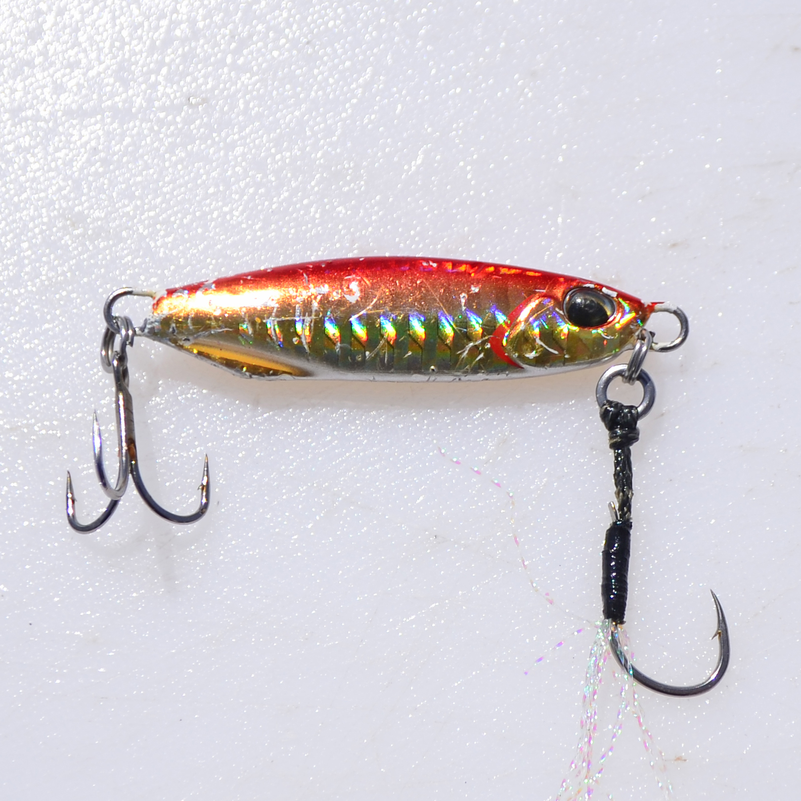 ✿サワラ・マダイ・ホウボウ✿