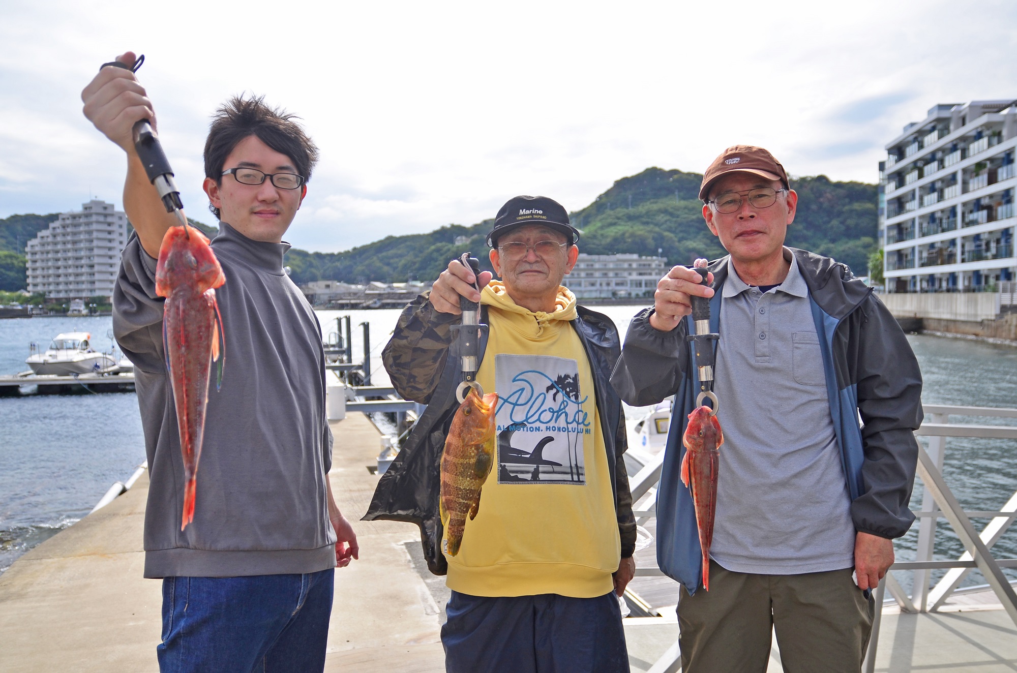 ✿ホウボウ・アオハタ✿