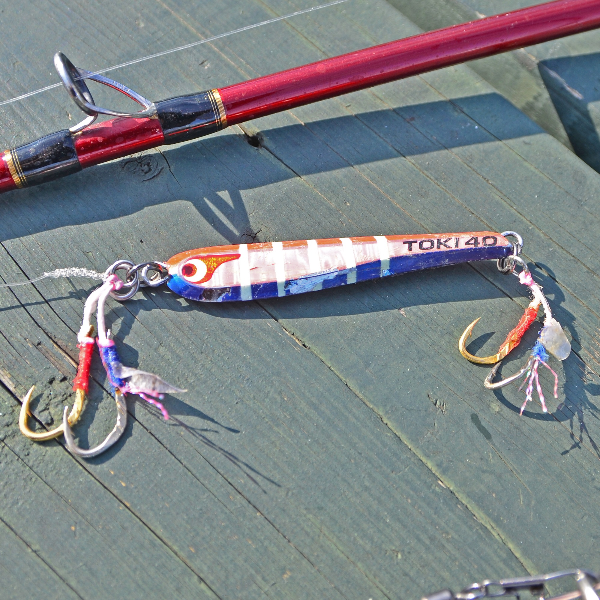 ✿イトヨリ・カンパチ・ホウボウ✿