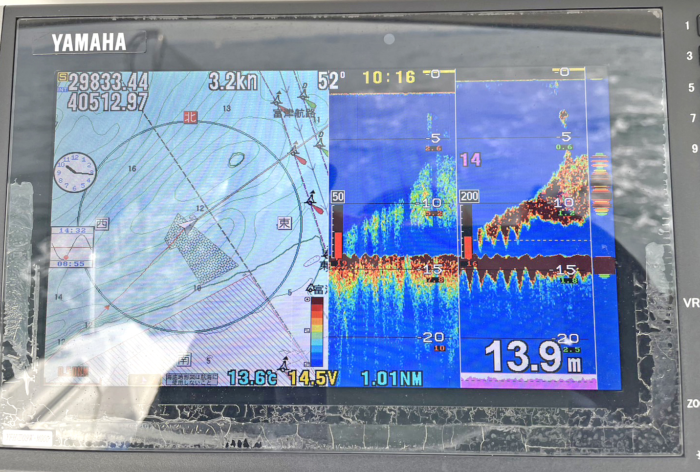 ✿シーバス・イナダ✿
