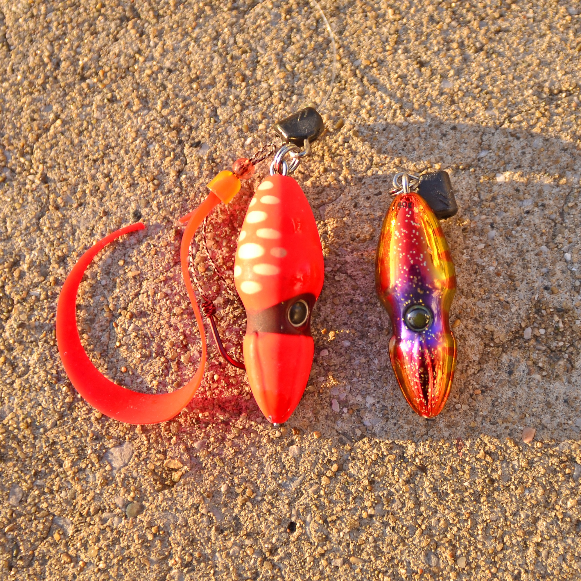 ✿アマダイ・ショゴ・カレイ・カナガシラ✿