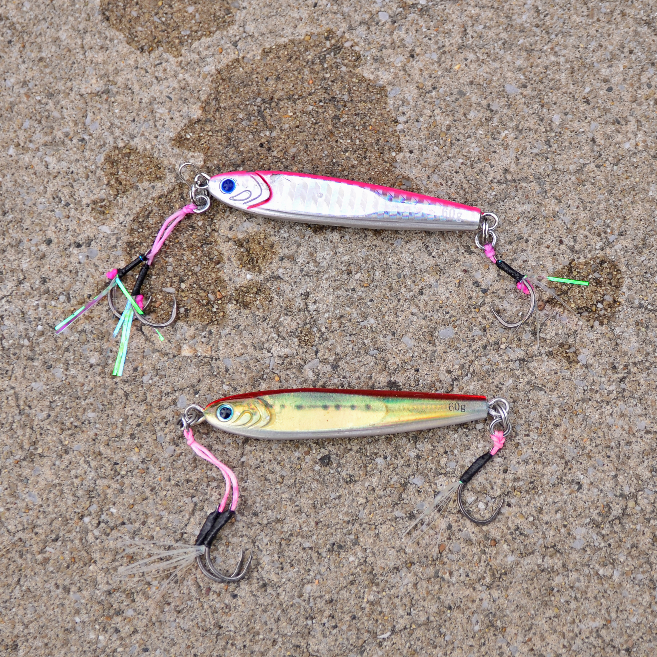 ✿サワラ・ショゴ✿