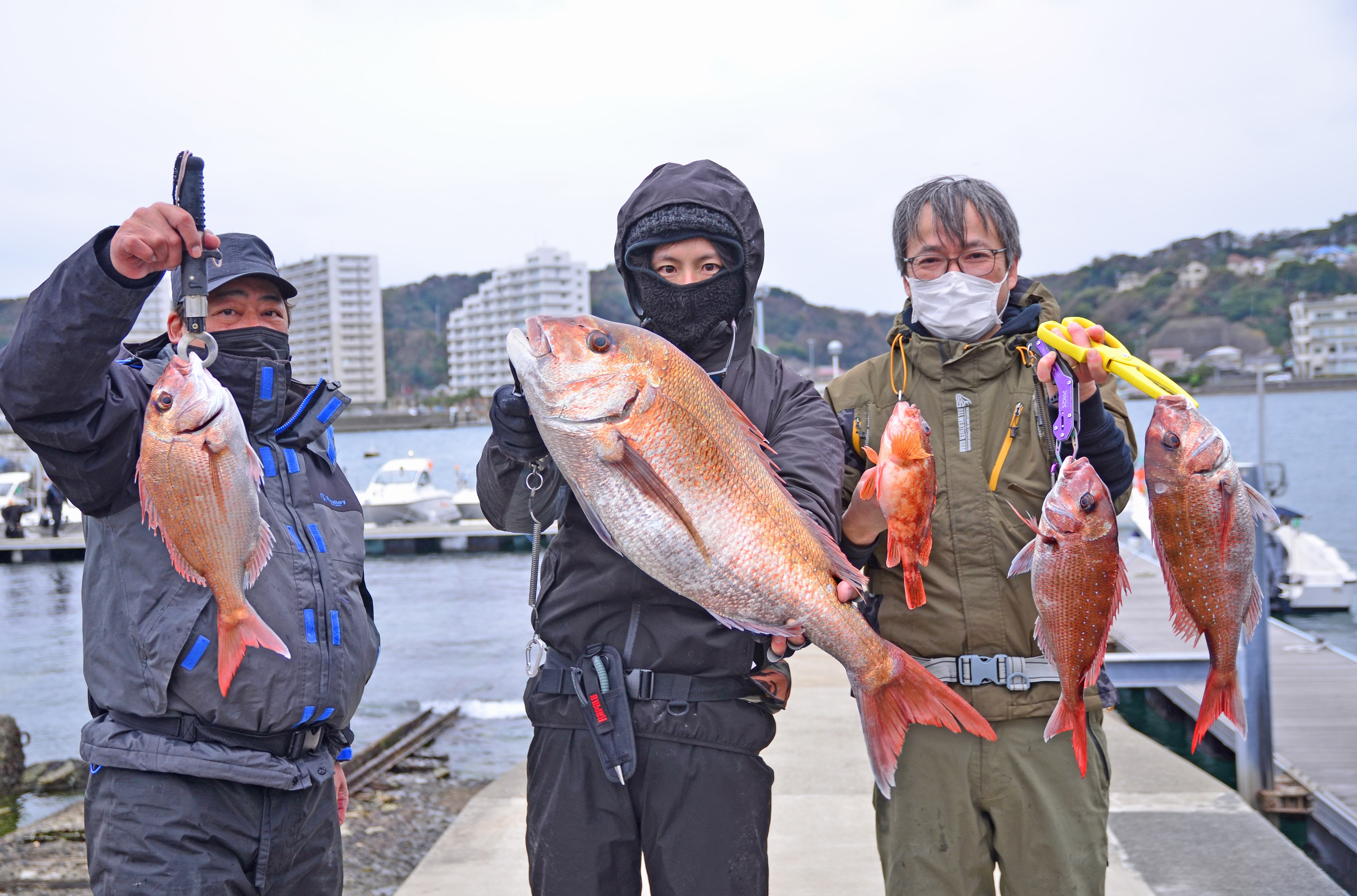 ✿マダイ・カサゴ✿