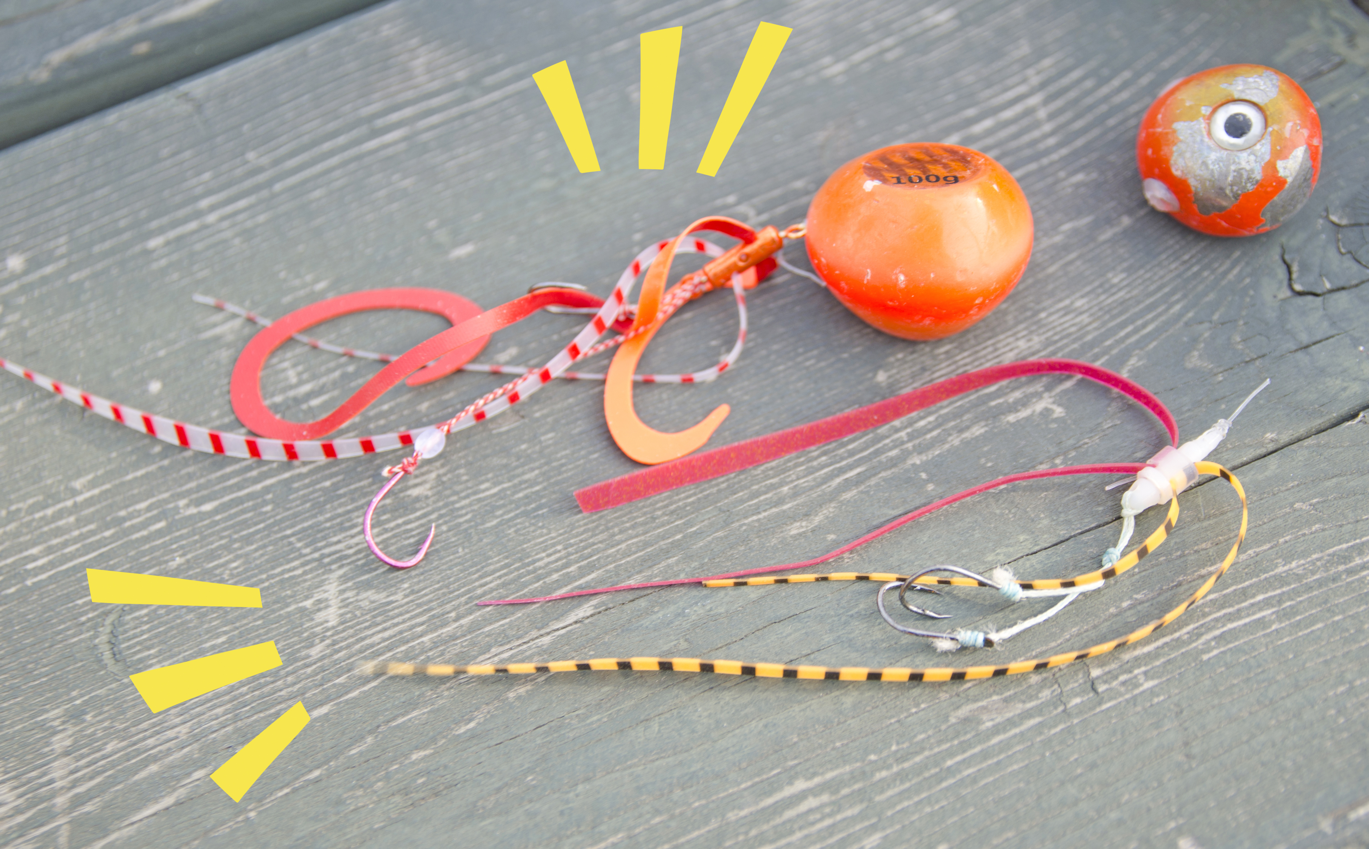 ✿マダイ・マハタ・クロダイ・ホウボウ✿