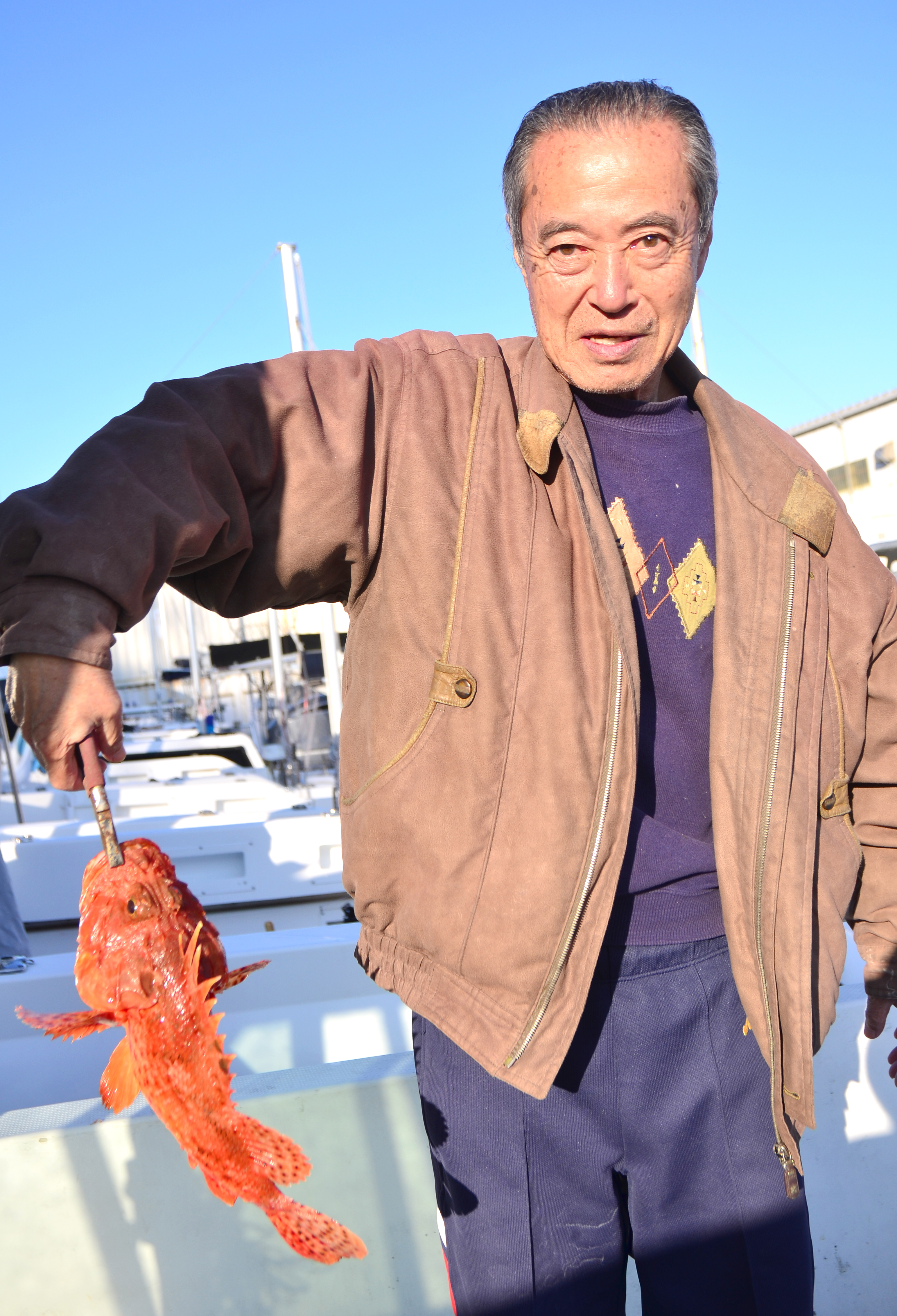 ✿オニカサゴ✿