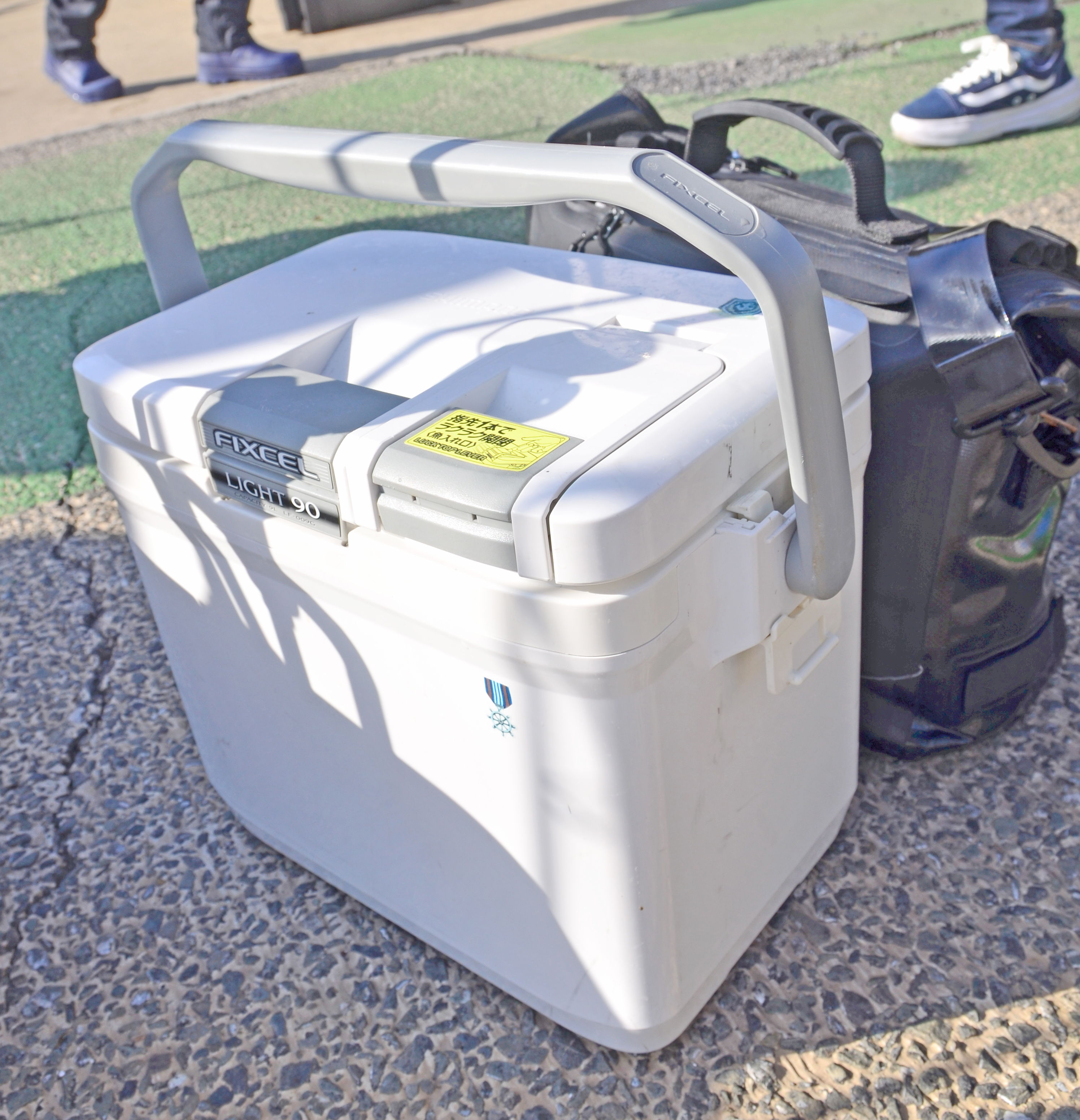 ✿マダイ・ウッカリカサゴ・ホウボウ✿