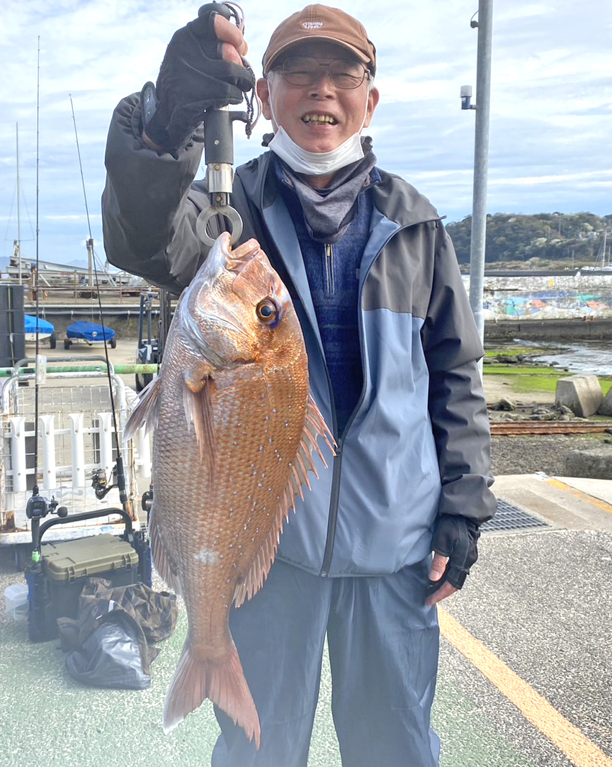 ✿マダイ・ホウボウ・トラフグ✿