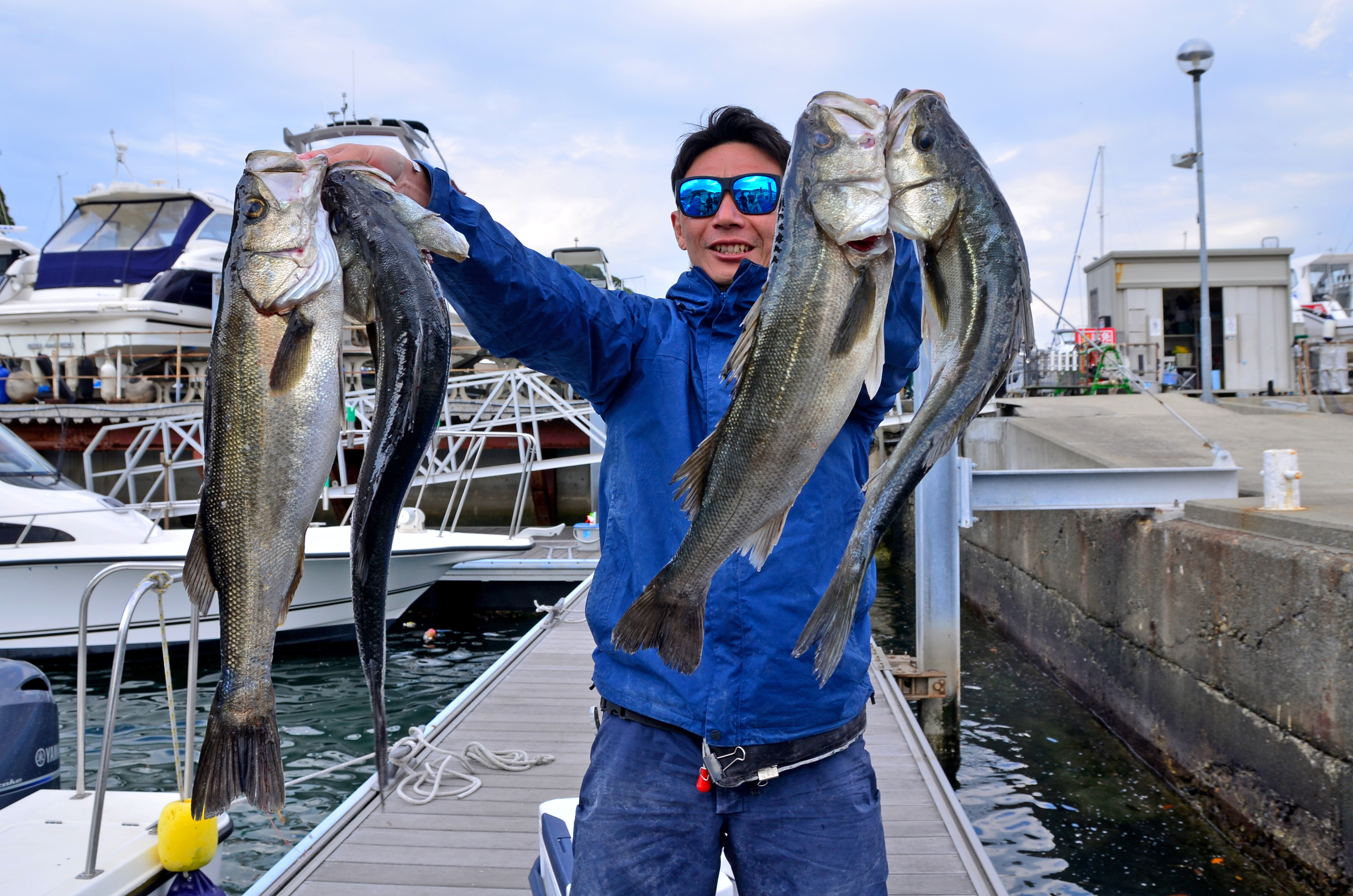 ✿ワラサ・イナダ・シーバス✿