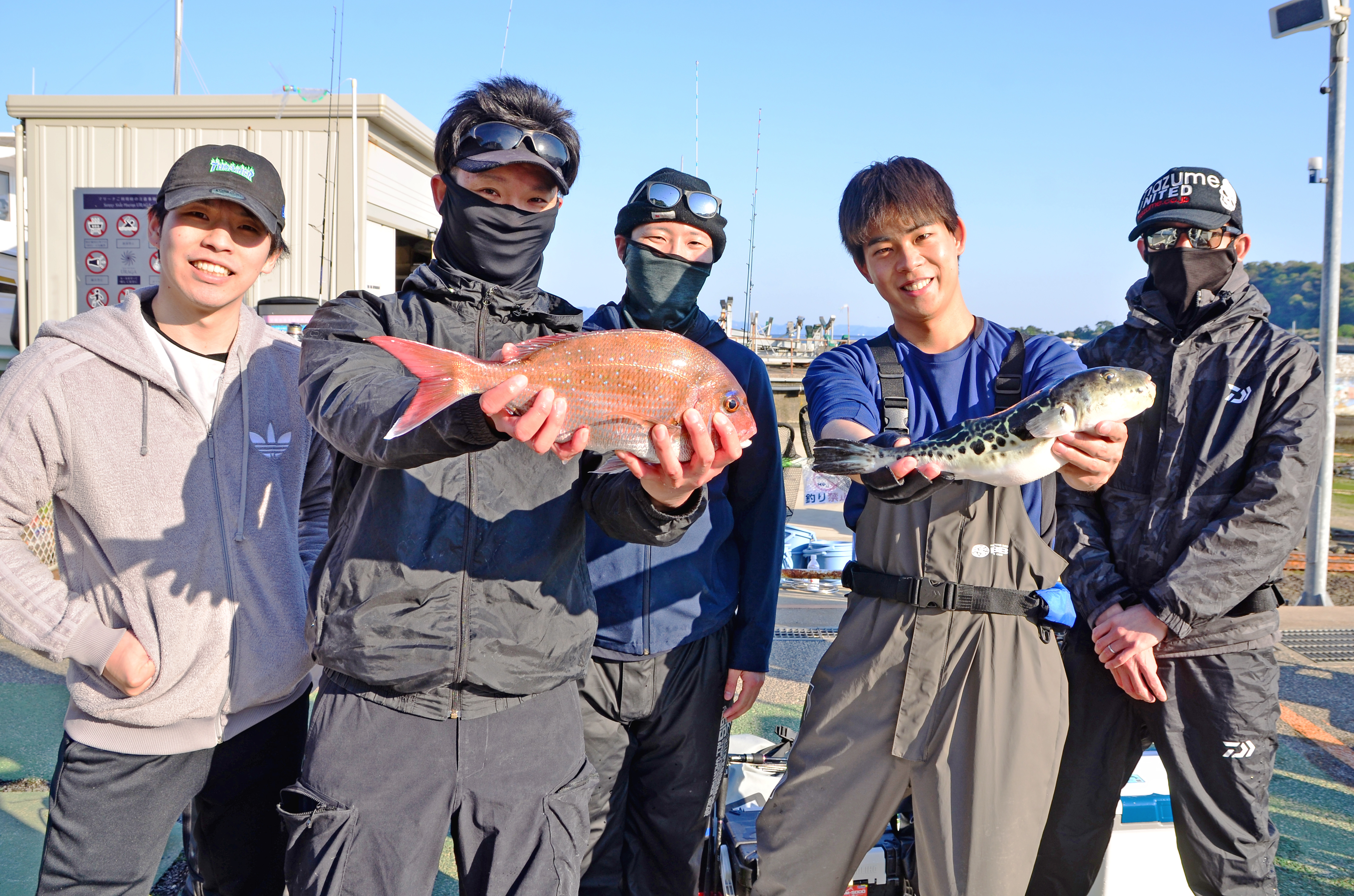 ✿マダイ・ホウボウ・トラフグ・マハタ✿