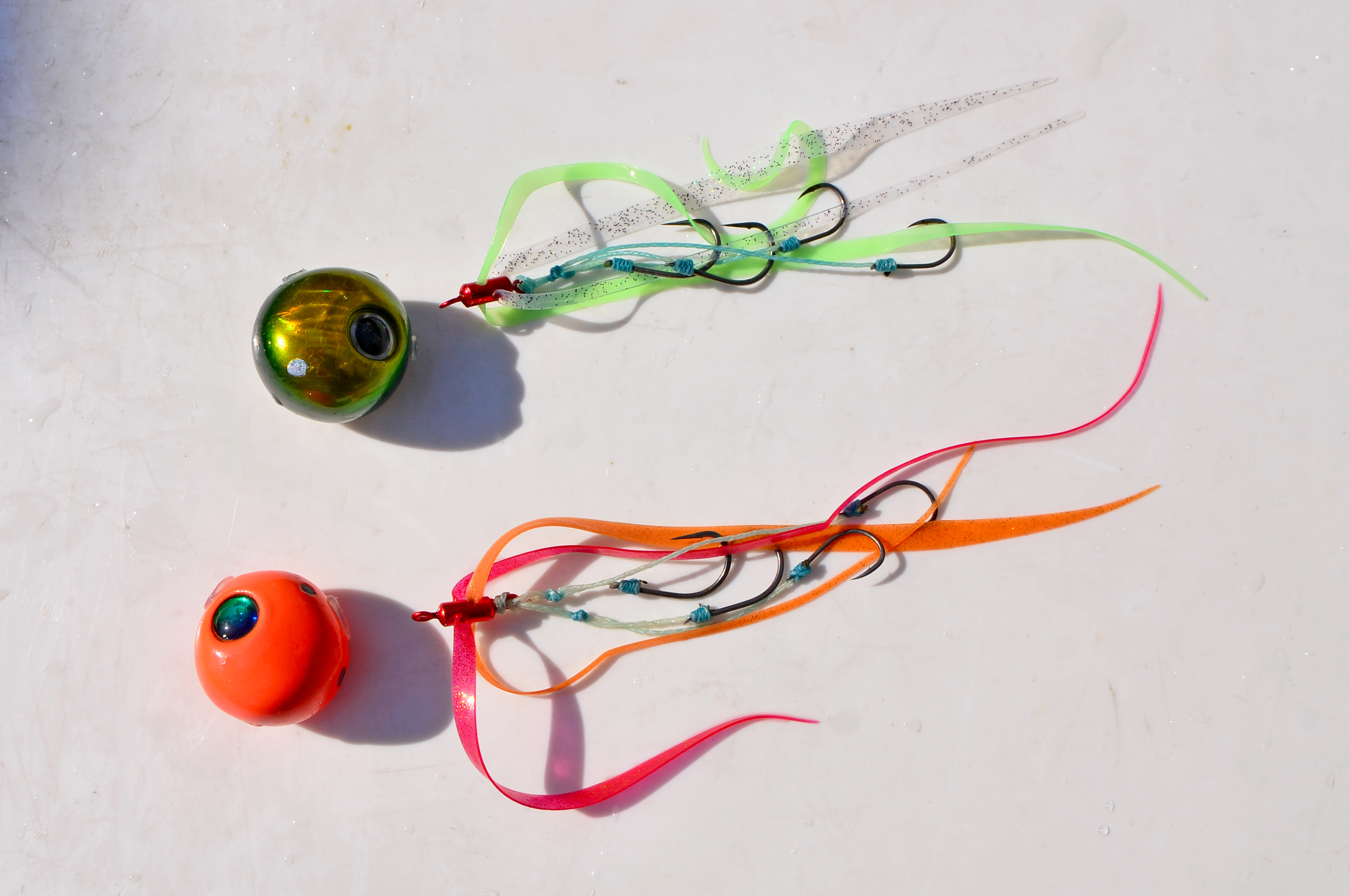 ✿マダイ・クロダイ・ホウボウ・ムシガレイ✿