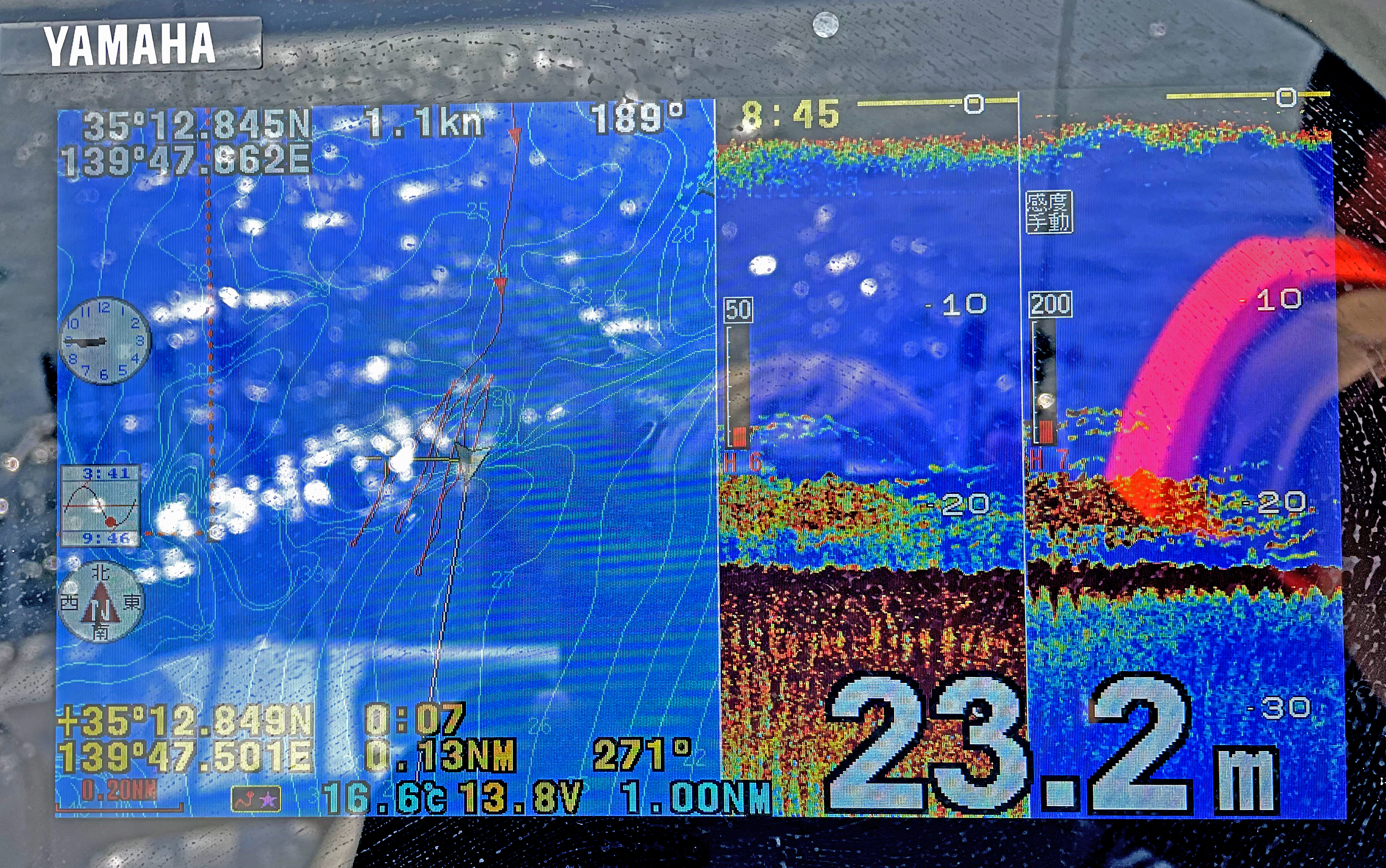 ✿マダイ・シーバス・サバ✿