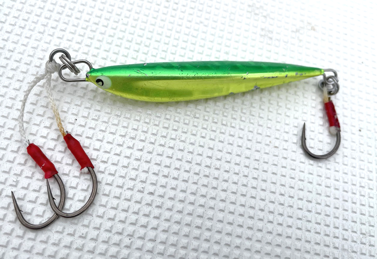 ✿マダイ・シーバス・サゴシ・イナダ✿