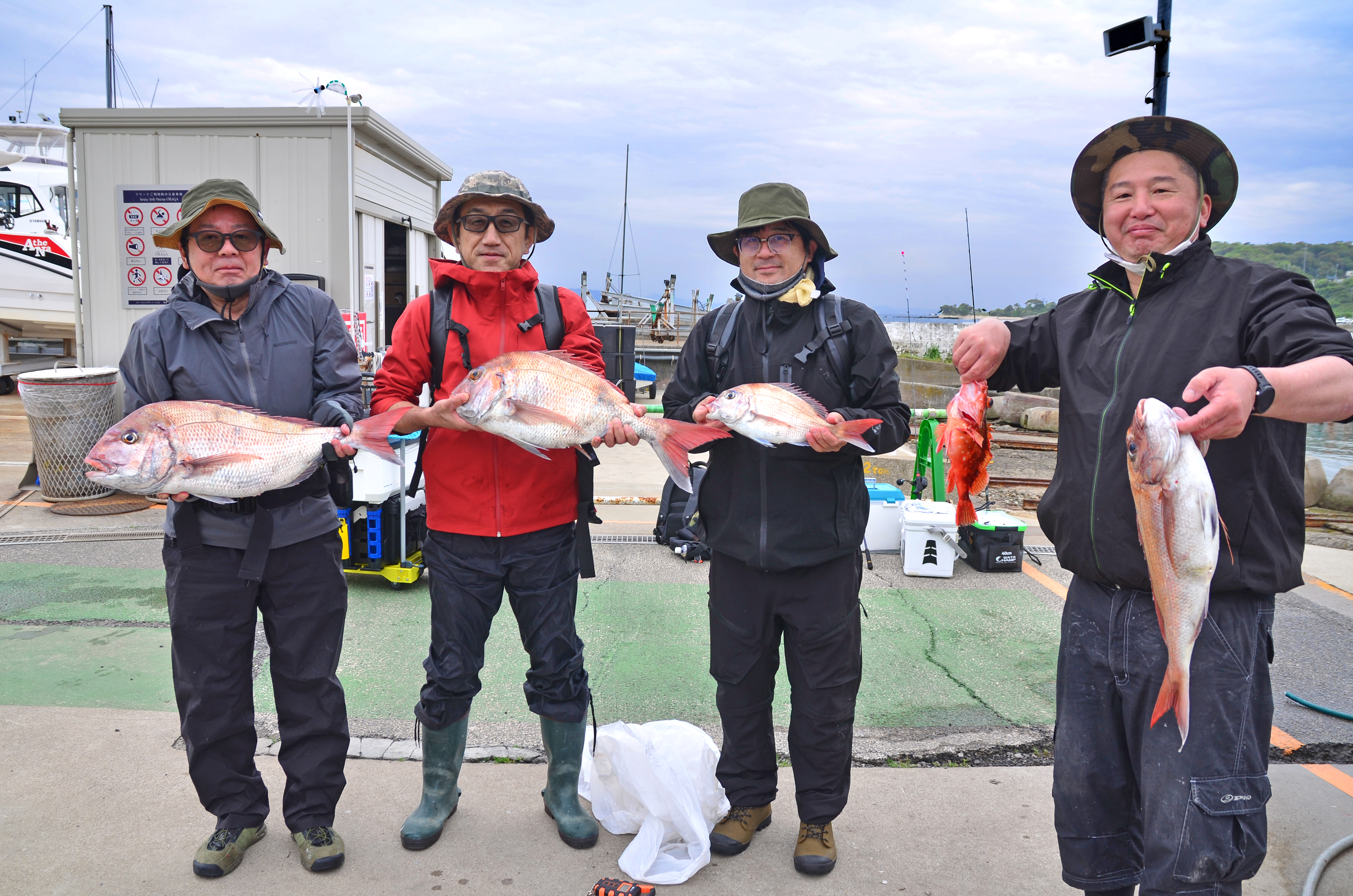 ✿マダイ・ウッカリカサゴ✿