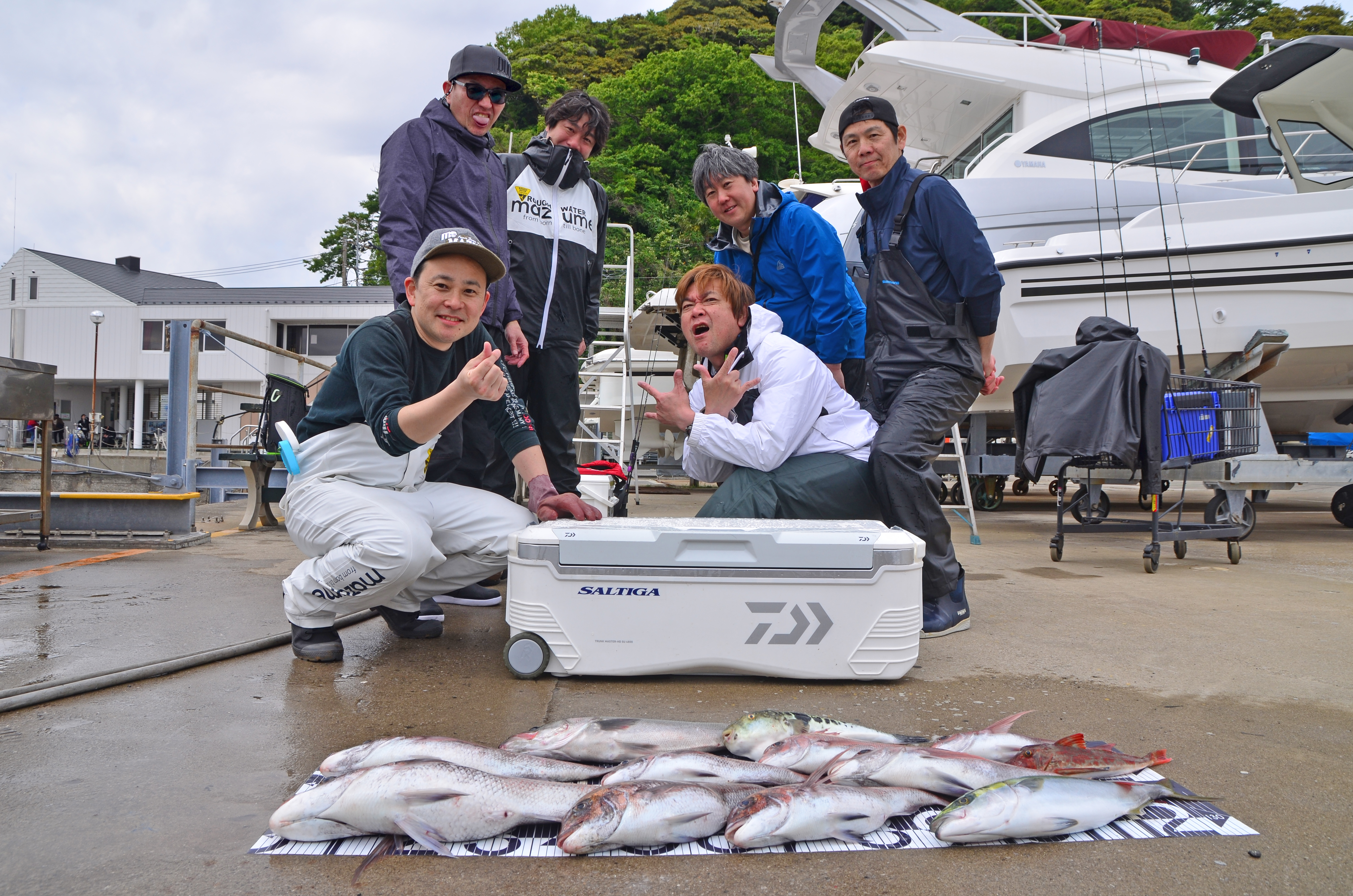 ✿マダイ・シーバス・トラフグ・イナダ・ホウボウ✿