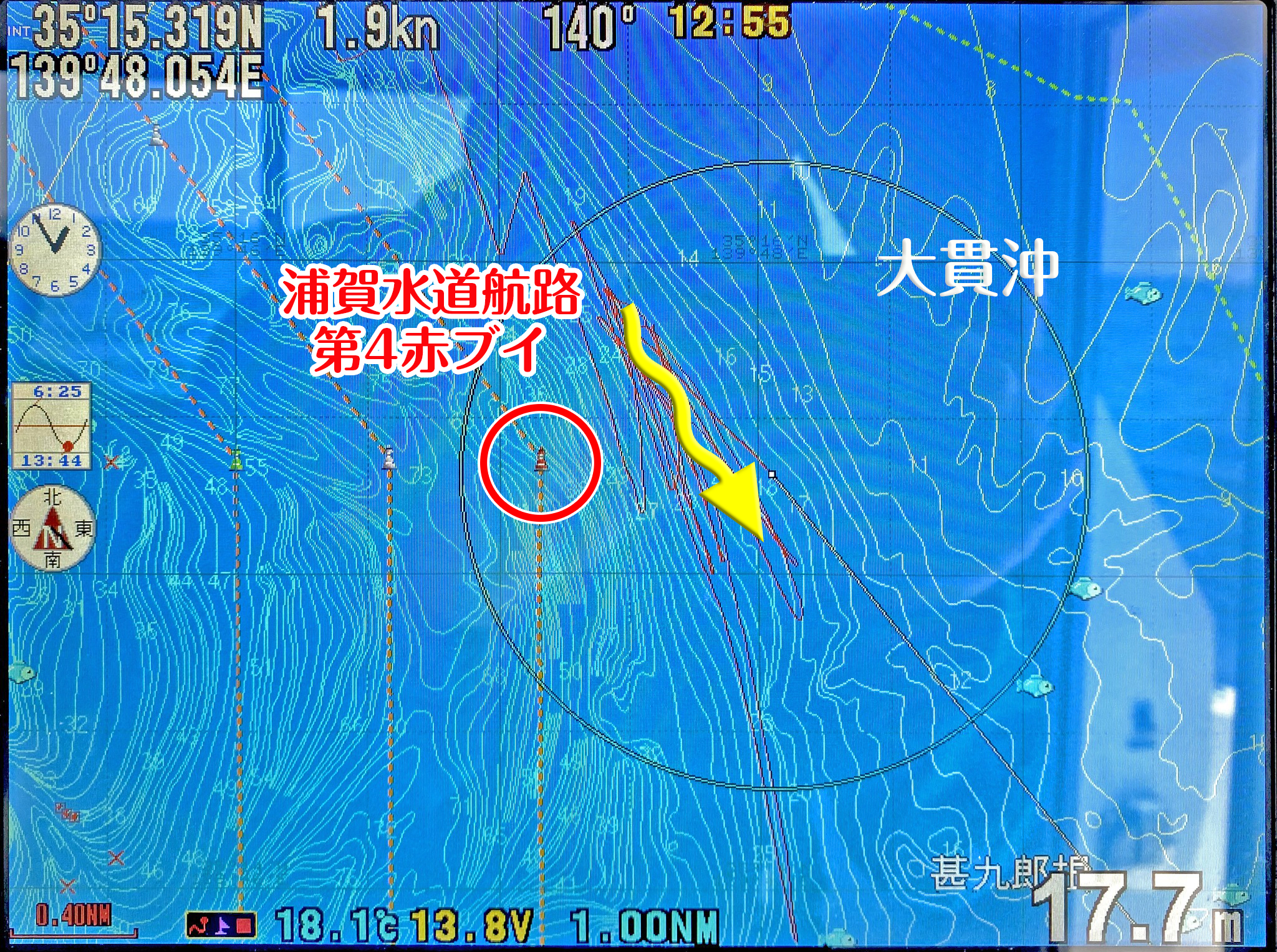 ✿マダイ・タチウオ✿