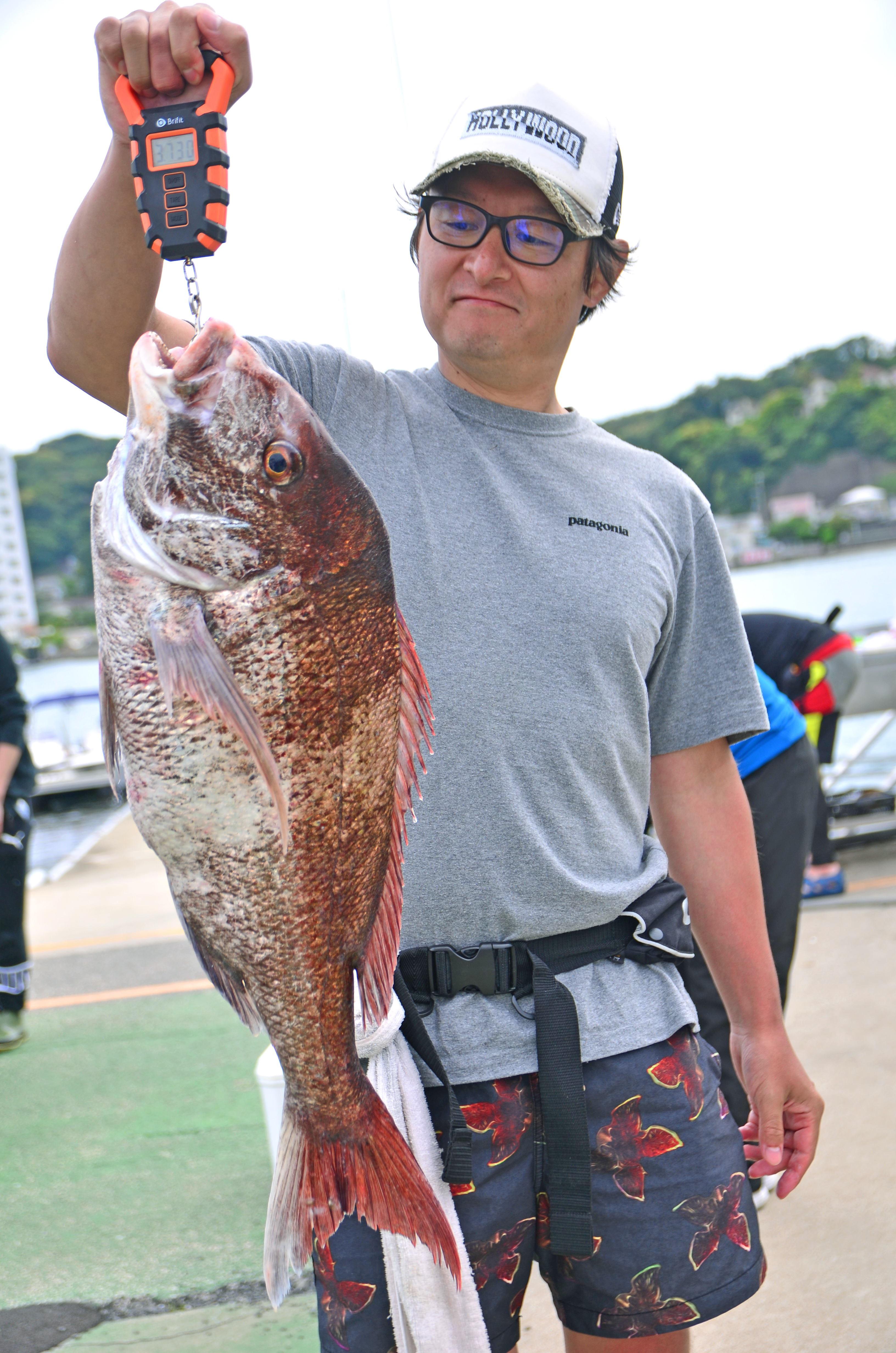 ✿マダイ・タチウオ・イネゴチ✿