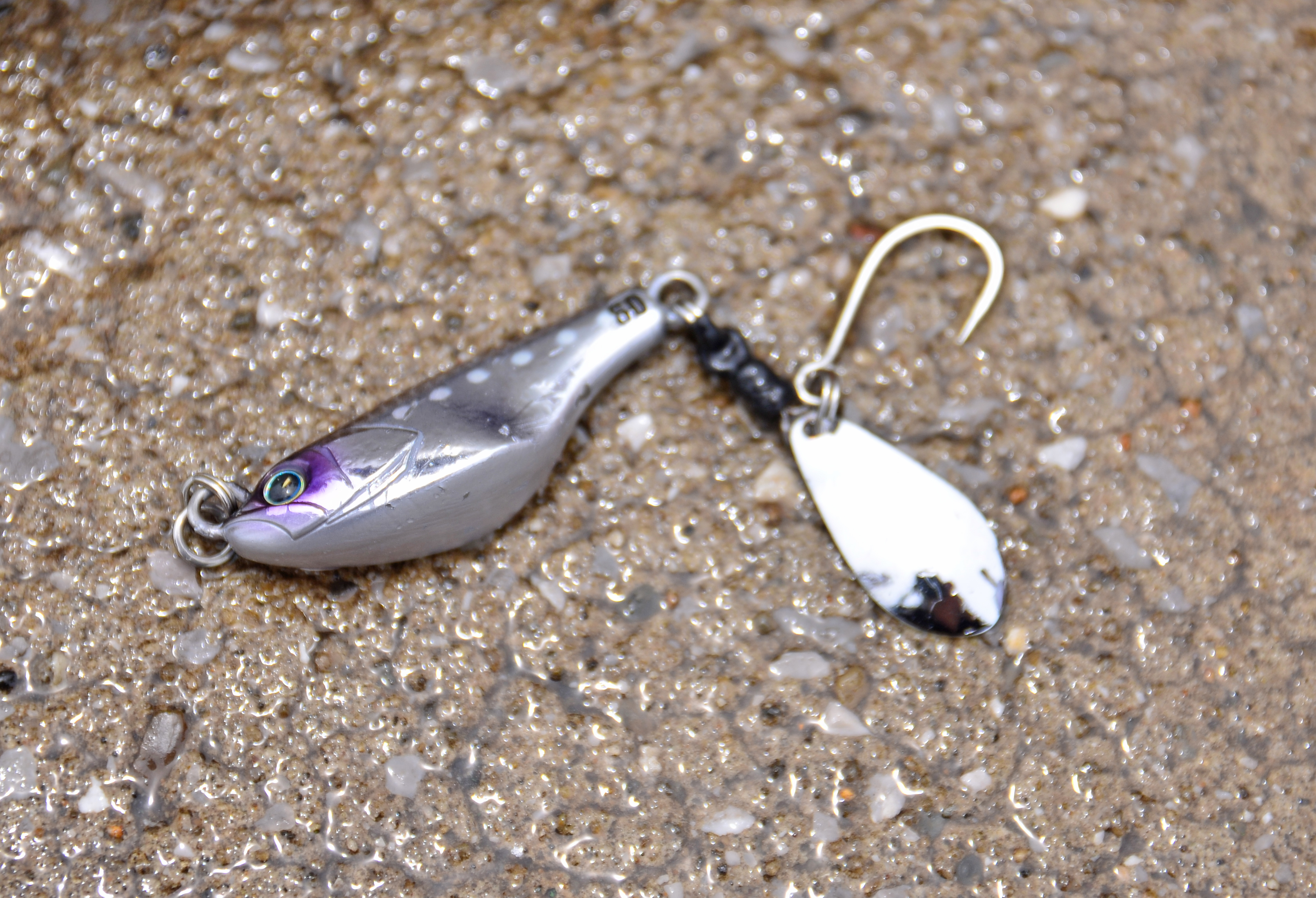 ✿マダイ・トラフグ・アジ✿